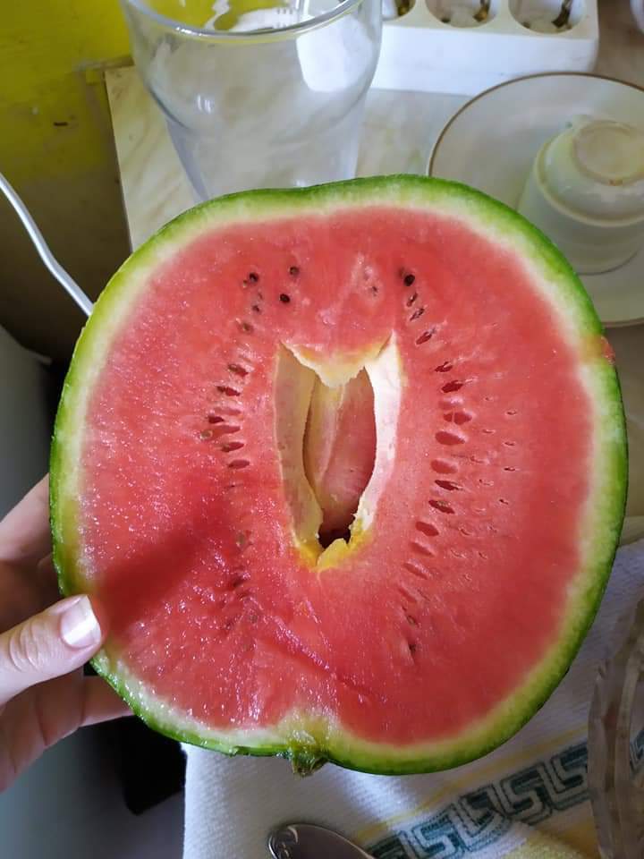 3.14 fattened watermelon - My, Watermelon, The photo, Longpost