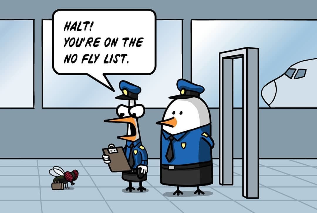 Fly away - Comics, Fredo and Pidjin, Humor, Translated by myself, USA