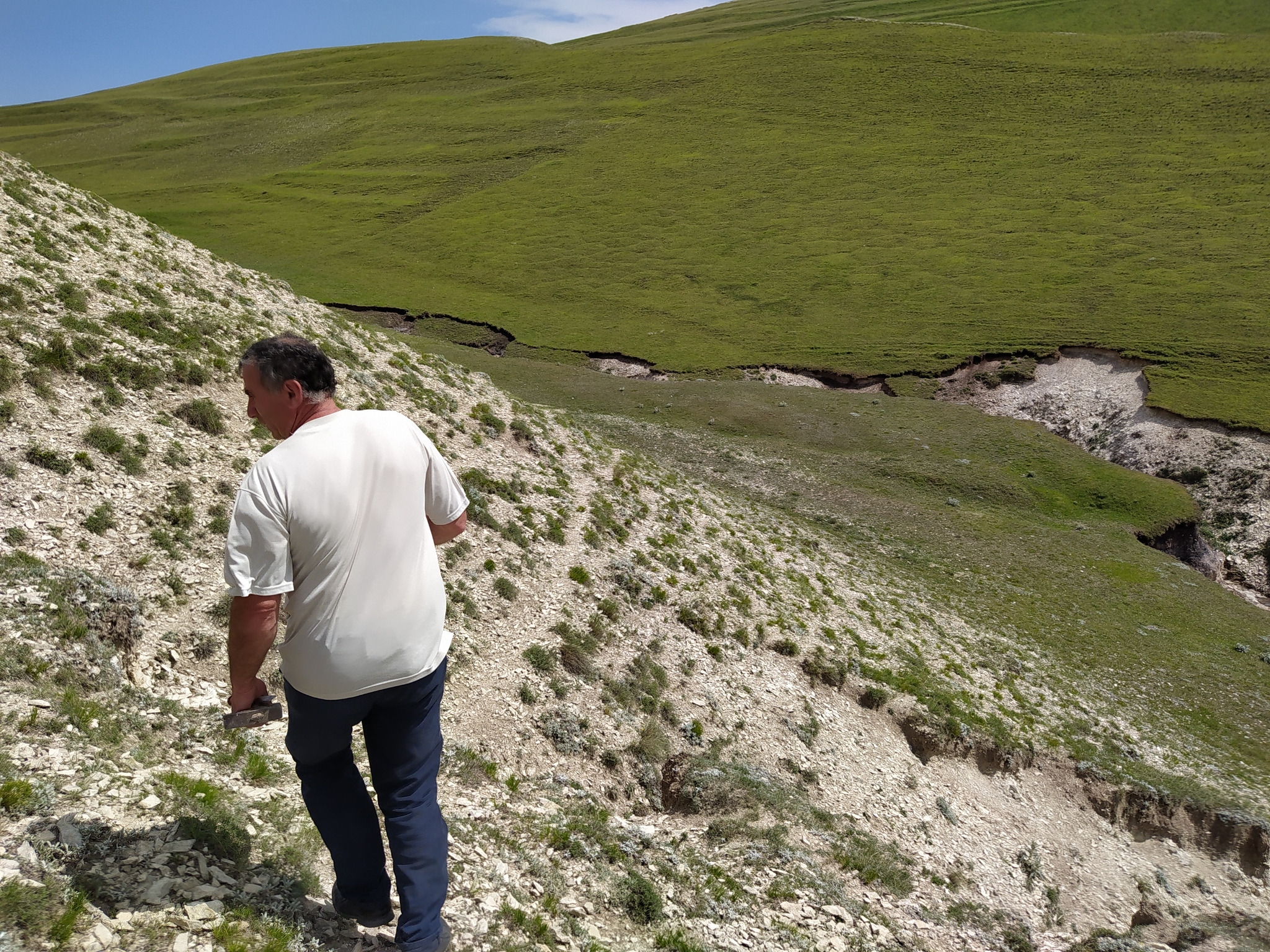 Continuation of the post “Fossils in the ravine” - My, Bones, Fossils, Archeology, Paleontology, The mountains, Dagestan, Reply to post, Longpost