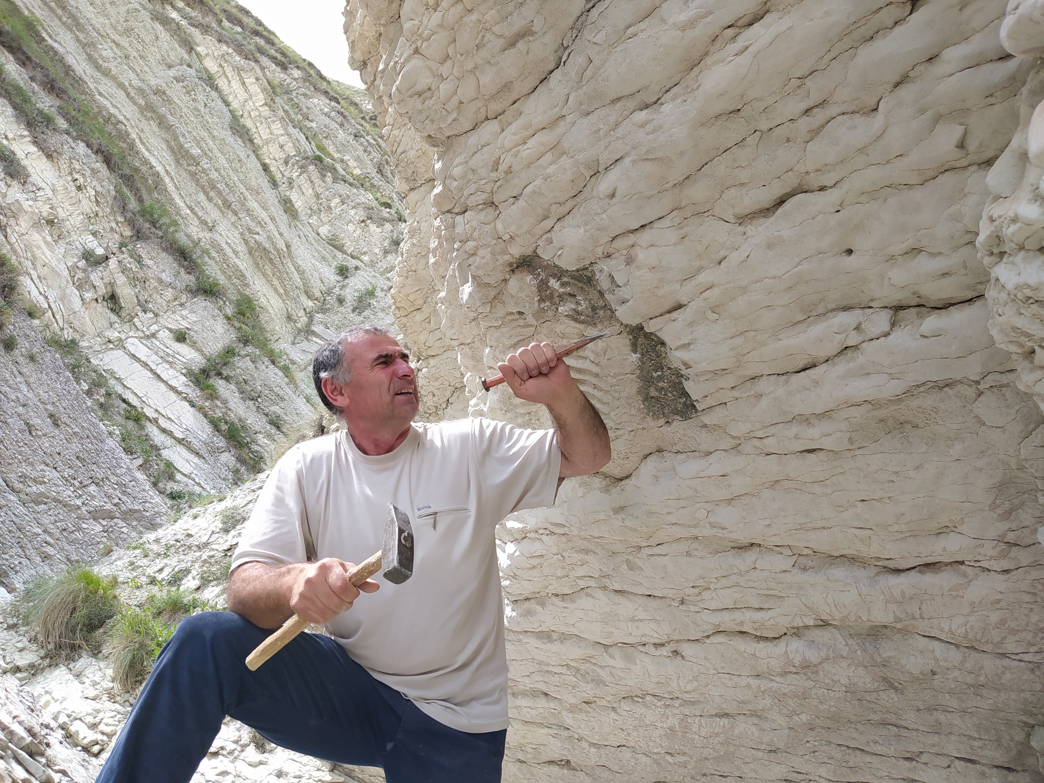 Continuation of the post “Fossils in the ravine” - My, Bones, Fossils, Archeology, Paleontology, The mountains, Dagestan, Reply to post, Longpost