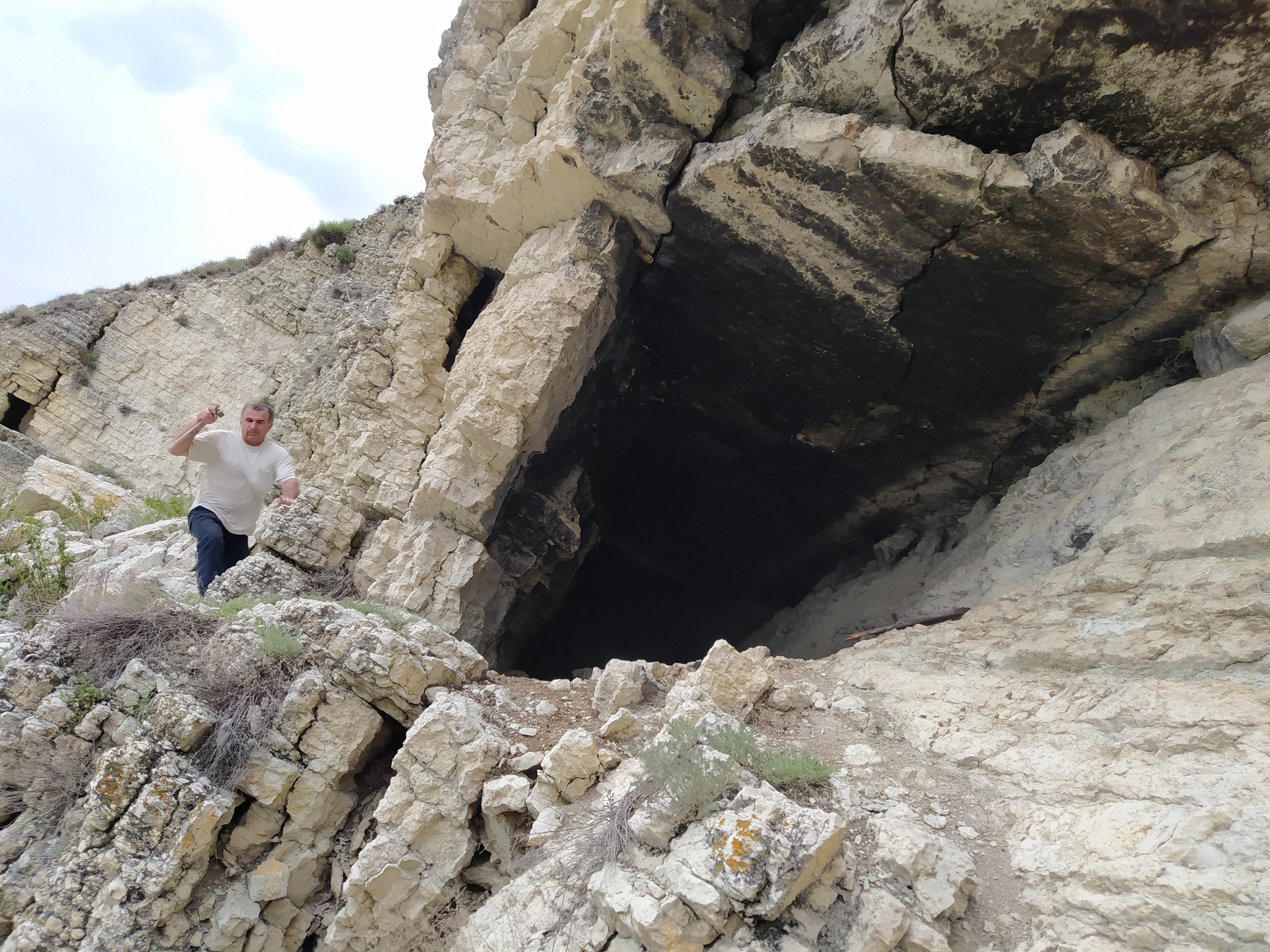 Continuation of the post “Fossils in the ravine” - My, Bones, Fossils, Archeology, Paleontology, The mountains, Dagestan, Reply to post, Longpost