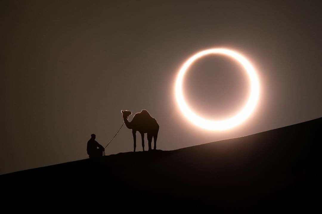 June 21, 2020 - annular solar eclipse. What you need to know the day before - My, Astronomy, The science, Observation, Eclipse, Solar eclipse, Longpost