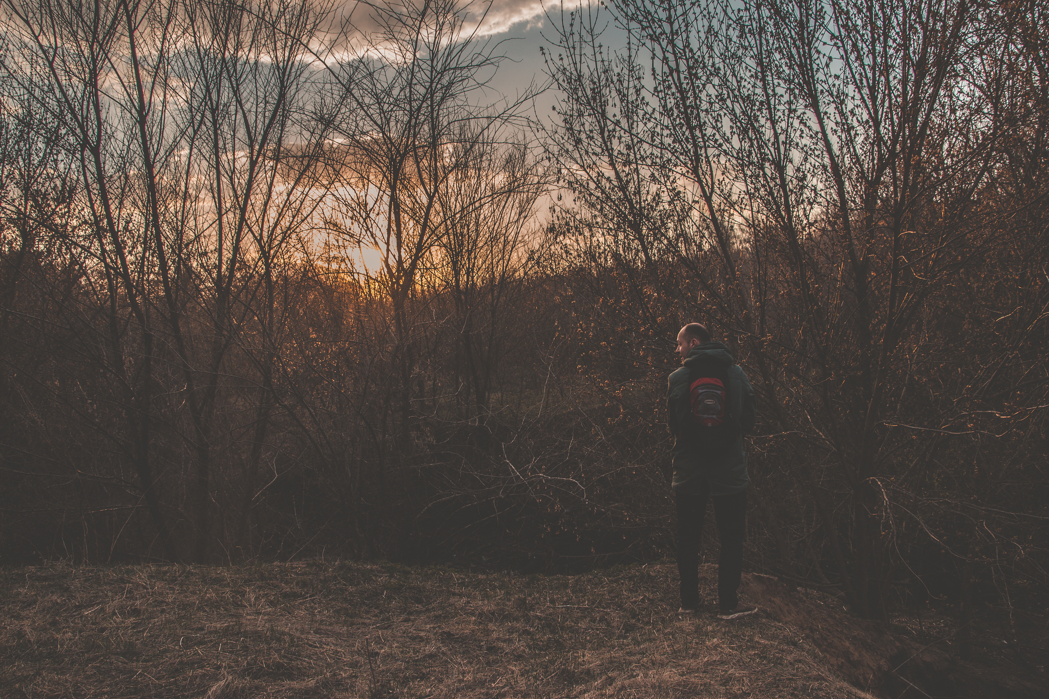 Sunset in the forest - My, The photo, The photo, Sunset, Nature, Forest, Forest