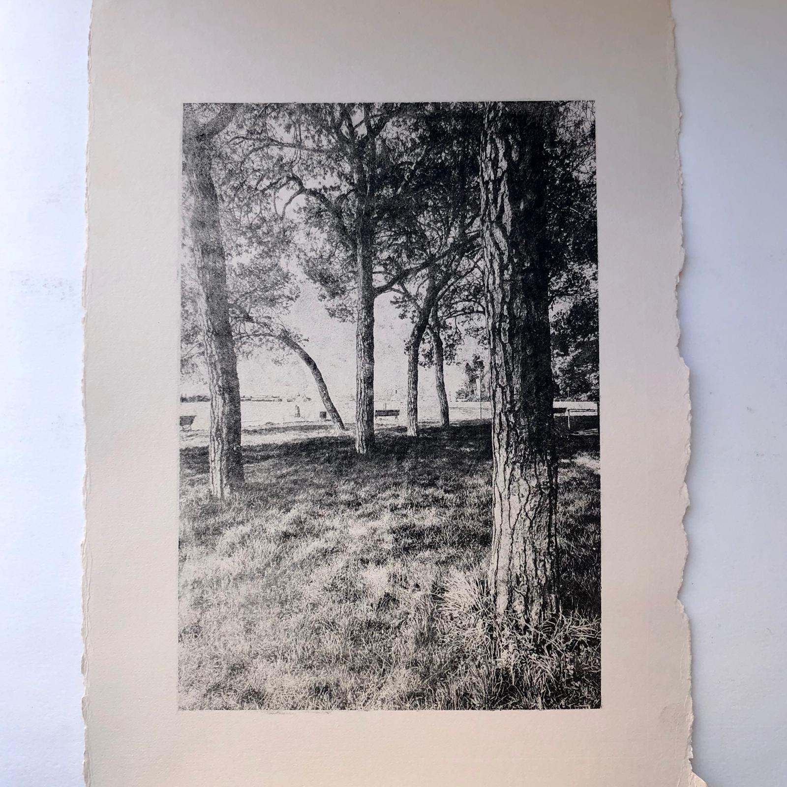 Venice in author's monotypes - My, Handmade, Black and white, Seal, Longpost, Mobile photography