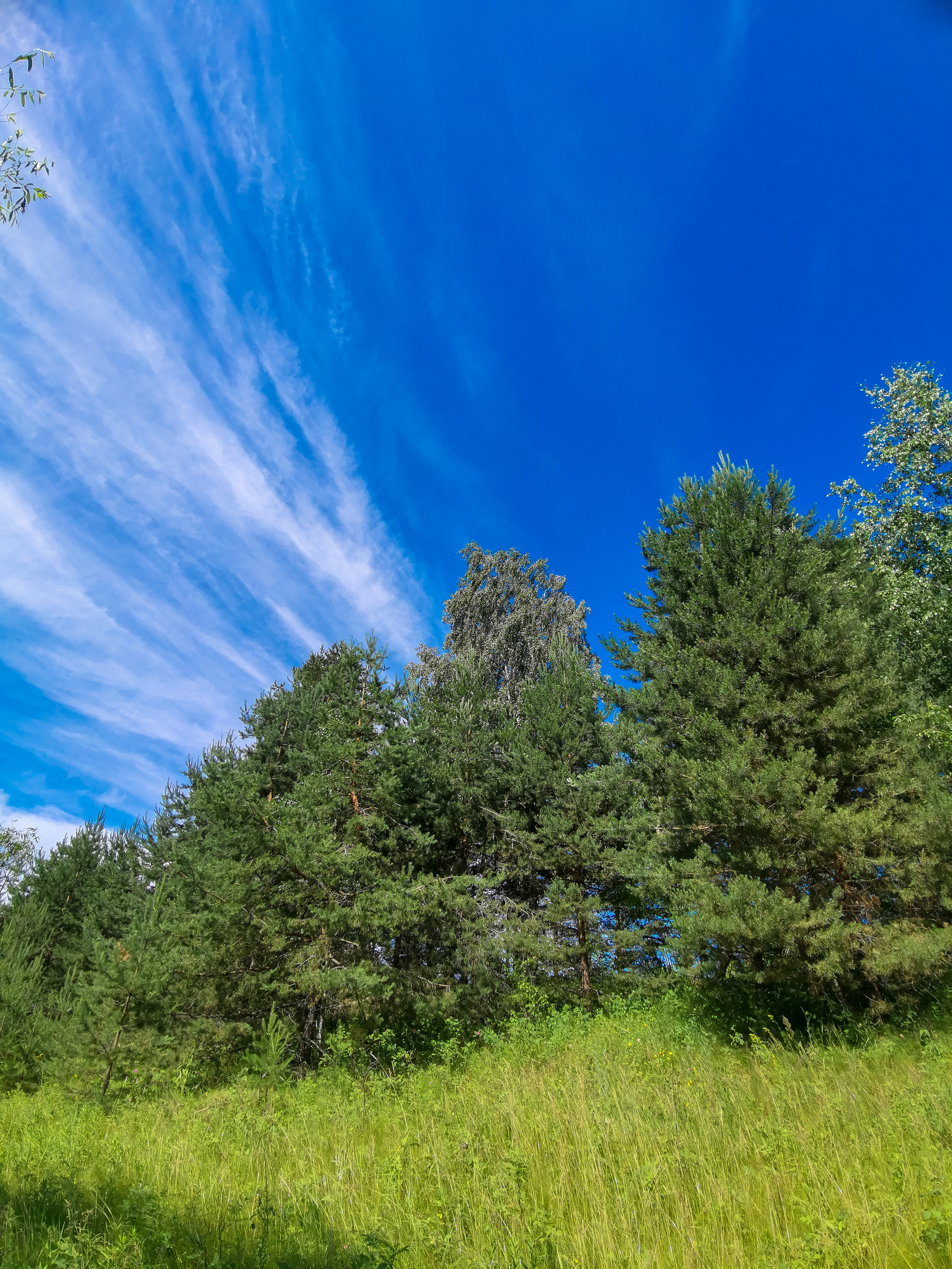 Landscape - My, Mobile photography, Landscape, Nature, Huawei mate 20, Longpost