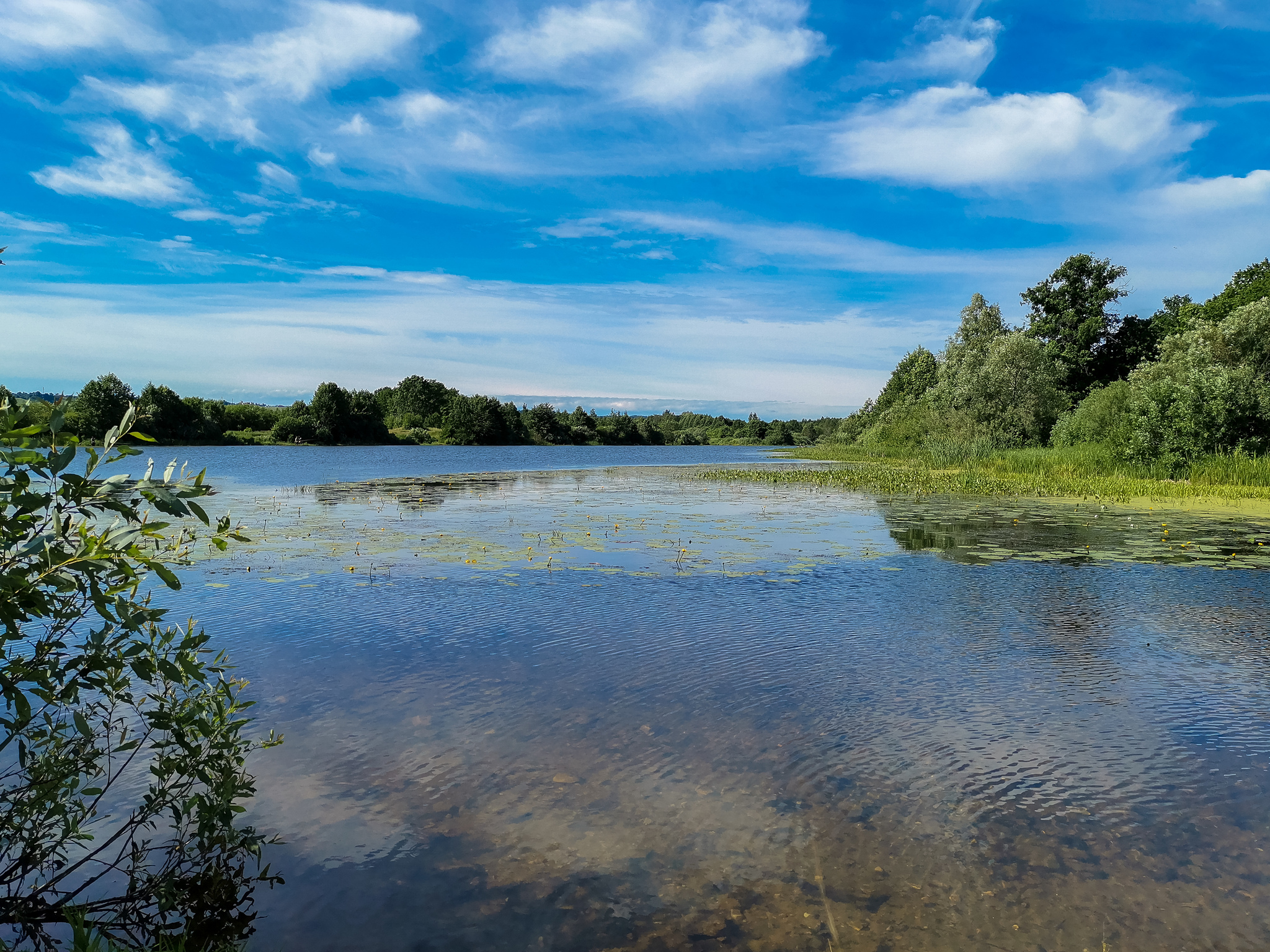 Landscape - My, Mobile photography, Landscape, Nature, Huawei mate 20, Longpost