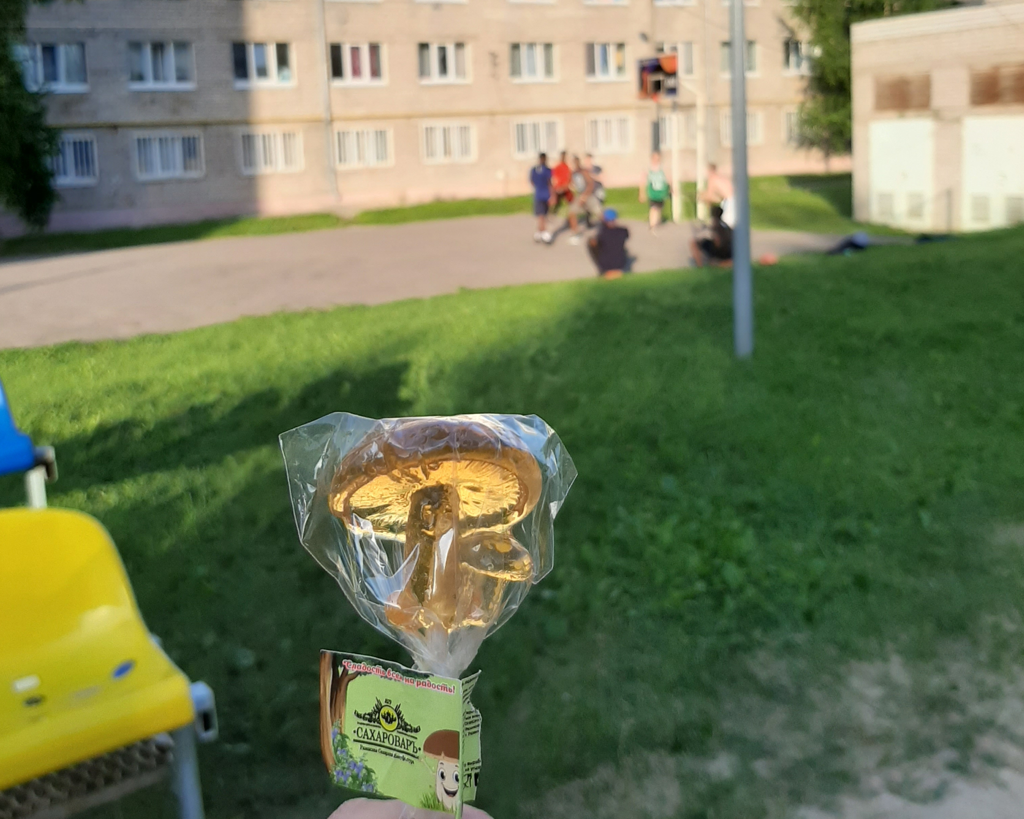 Quarantine travel -Day 13. Ryazan and mushrooms with eyes - My, Ryazan, Hostel, Travels, Economical travel, Budget travel, Travel across Russia, Longpost