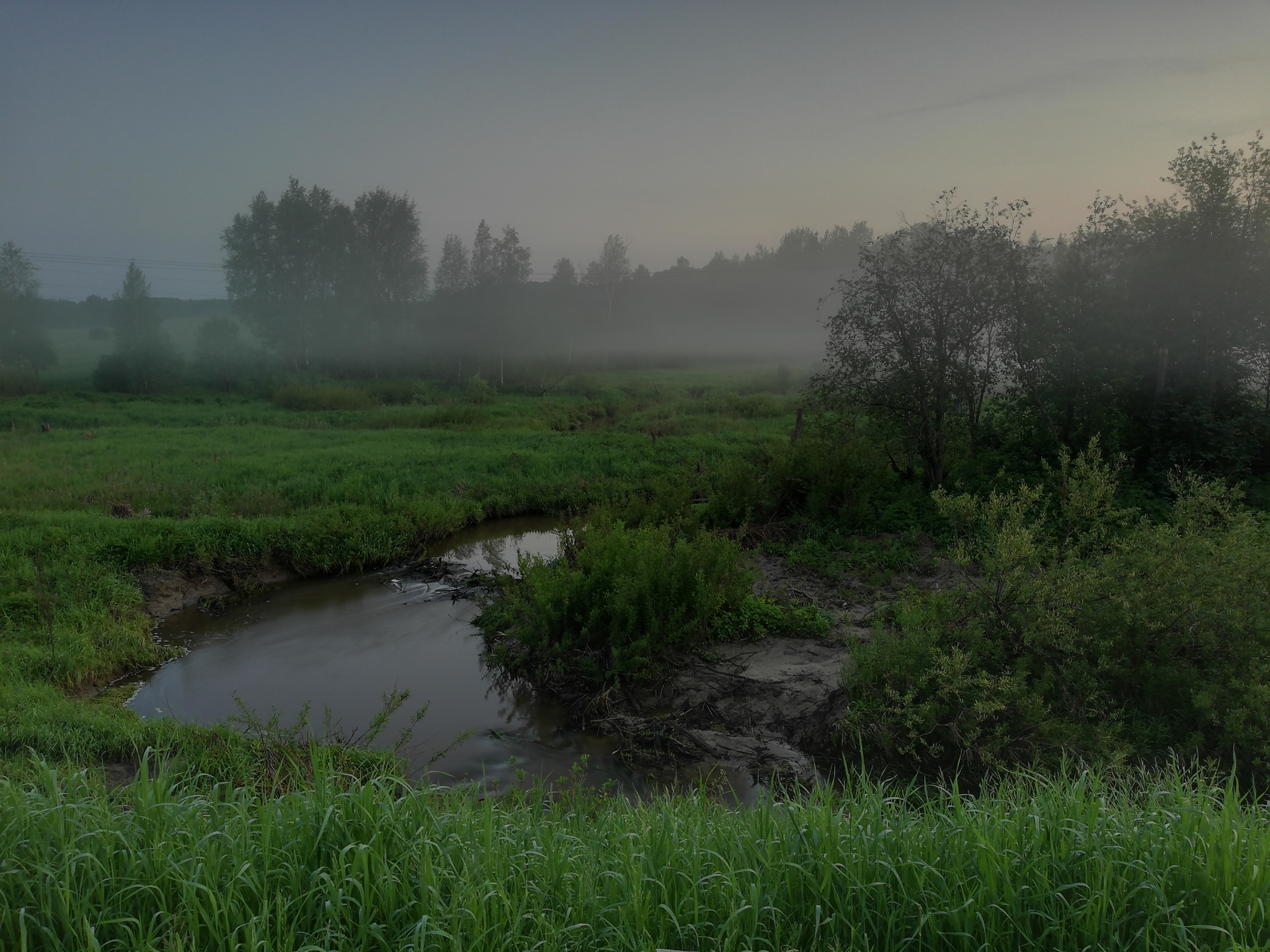 Evening walk - My, Nature, Romance, Longpost