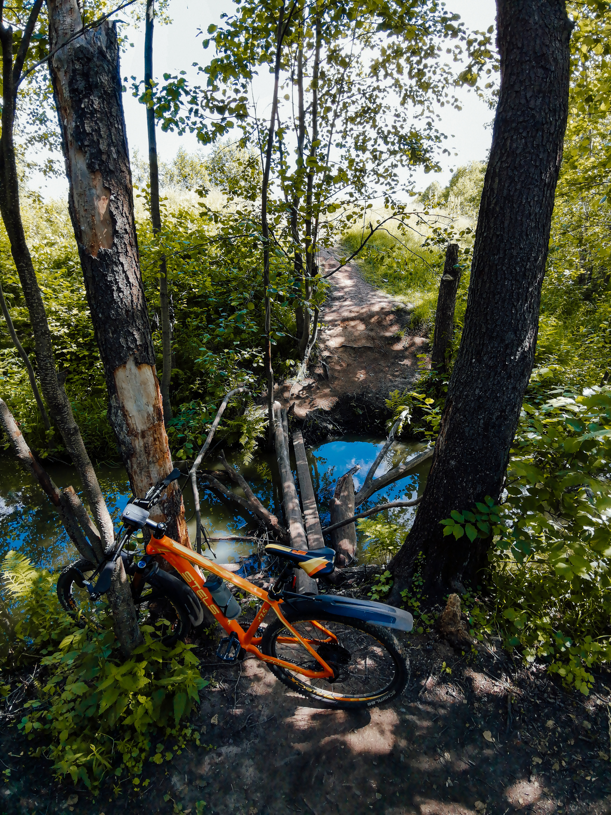 Mobile sketches - My, Mobile photography, Huawei mate 20, Nature, A bike, Lake, Dzerzhinsk, Video, Longpost