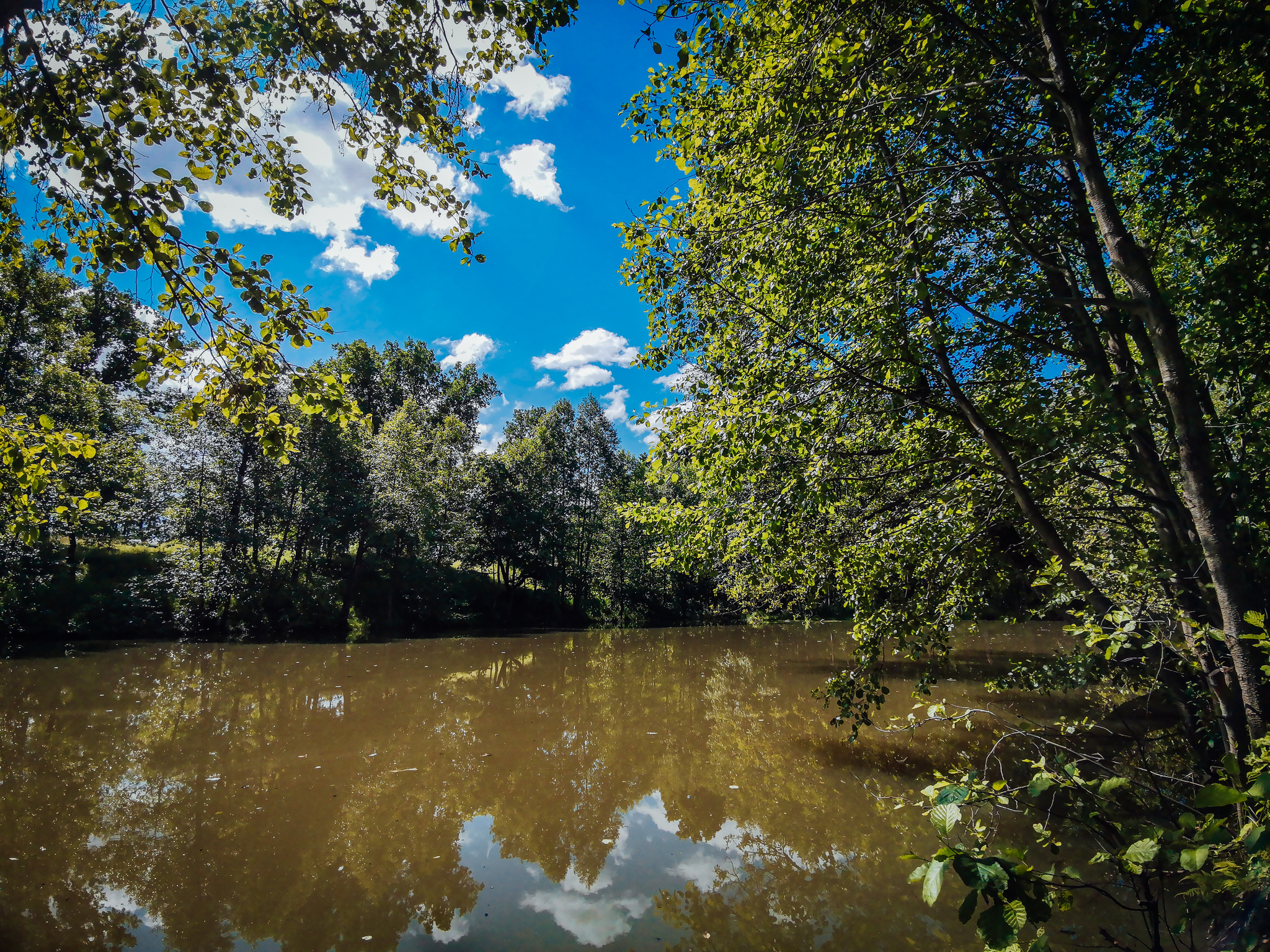 Mobile sketches - My, Mobile photography, Huawei mate 20, Nature, A bike, Lake, Dzerzhinsk, Video, Longpost