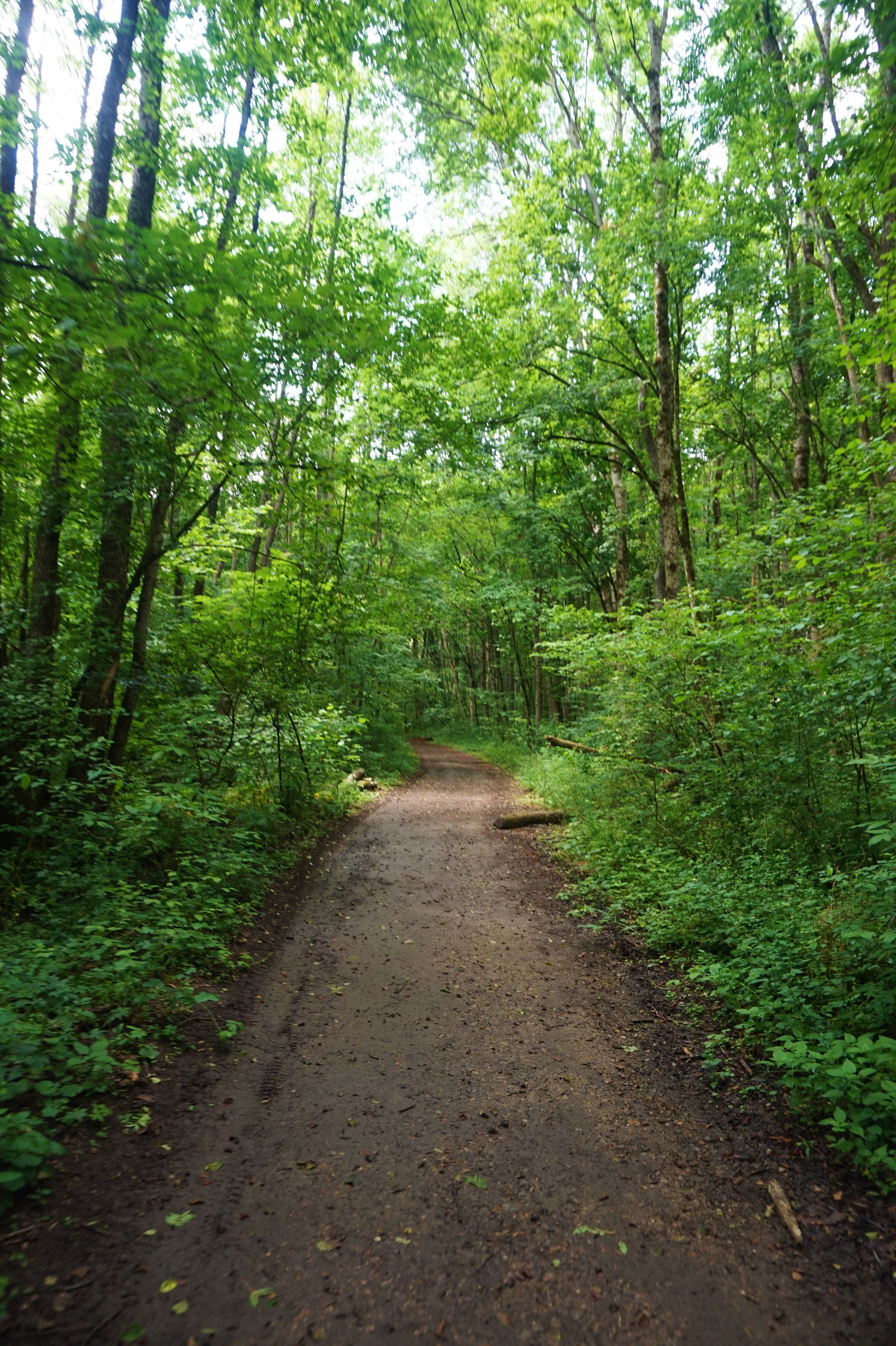 Walk to Kaverzinsky waterfalls - My, Hot Key, Краснодарский Край, Hike, Waterfall, Forest, Walk, Longpost