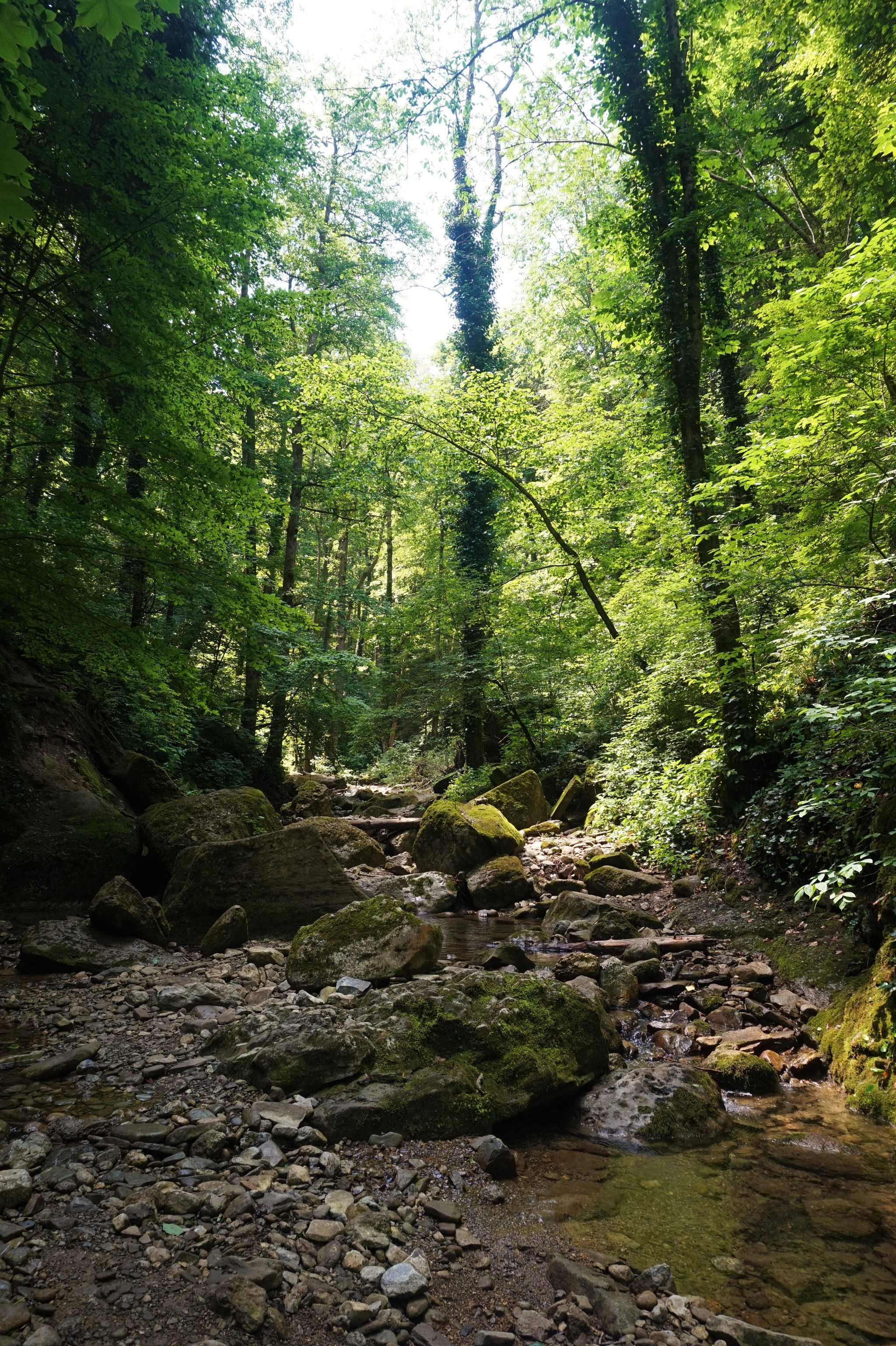 Walk to Kaverzinsky waterfalls - My, Hot Key, Краснодарский Край, Hike, Waterfall, Forest, Walk, Longpost