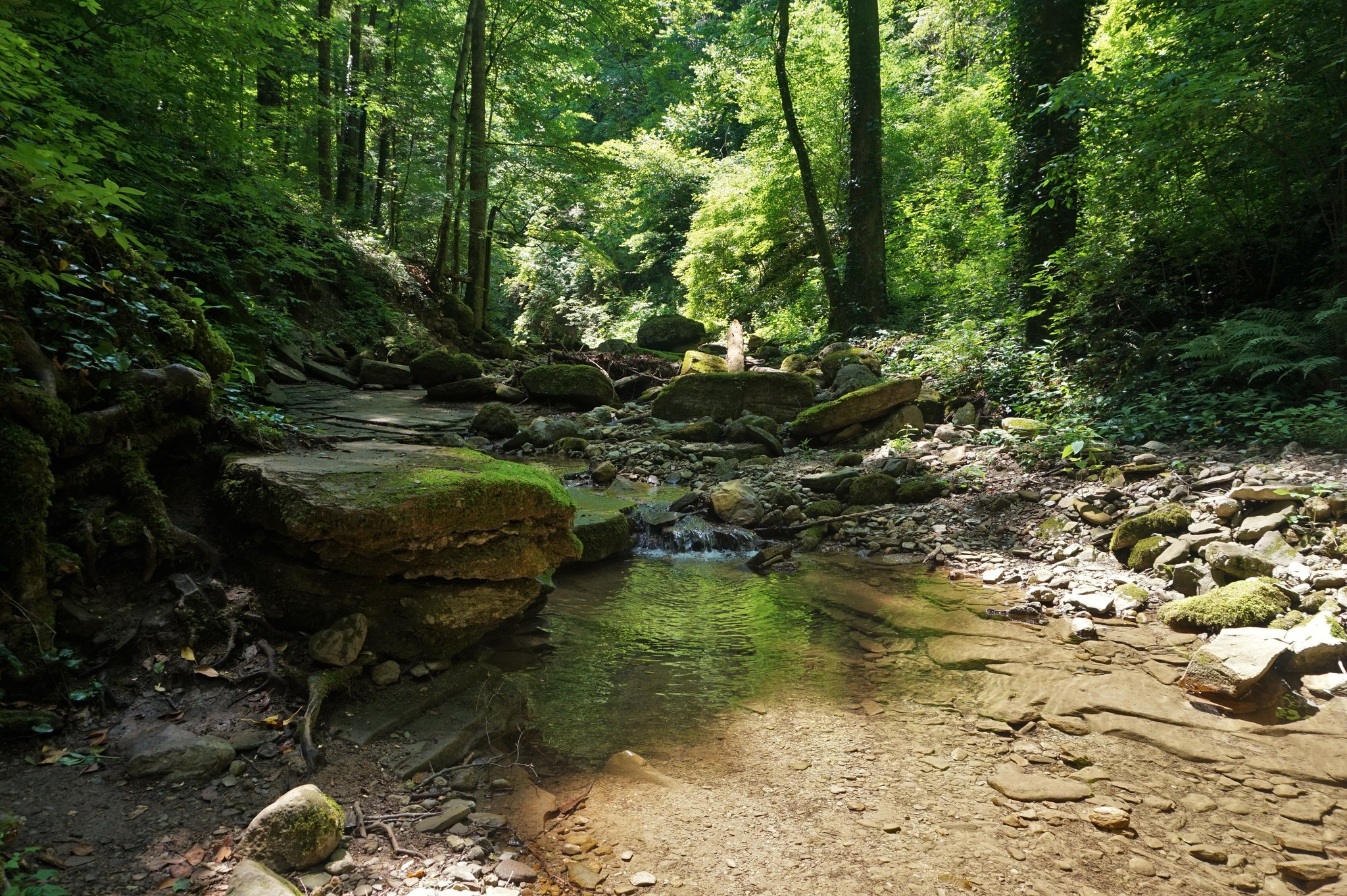 Walk to Kaverzinsky waterfalls - My, Hot Key, Краснодарский Край, Hike, Waterfall, Forest, Walk, Longpost