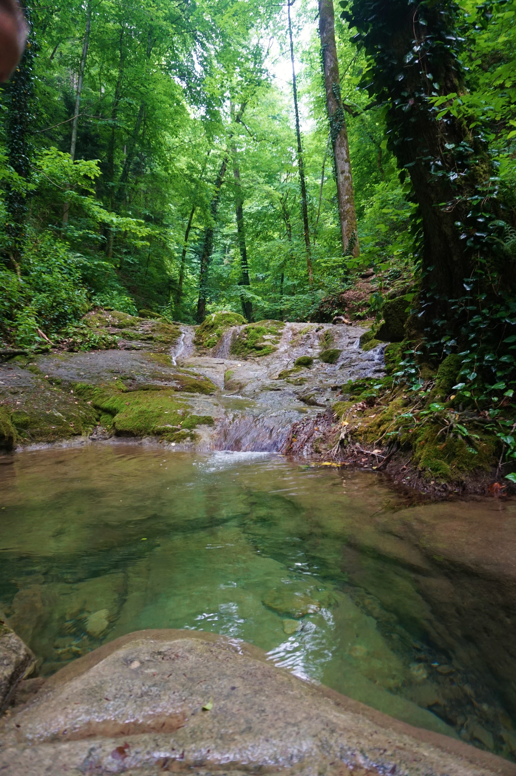 Walk to Kaverzinsky waterfalls - My, Hot Key, Краснодарский Край, Hike, Waterfall, Forest, Walk, Longpost