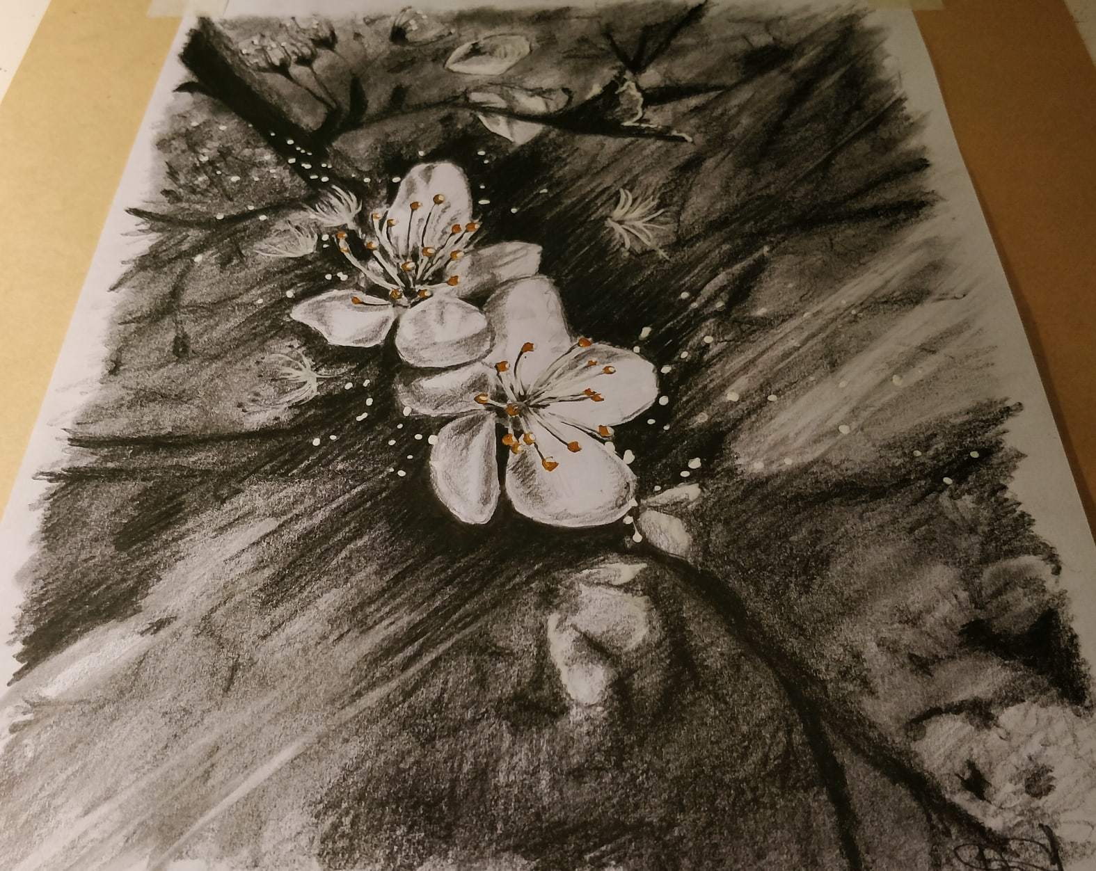 Spring - My, Pencil drawing, Art, Flowers, Apple tree