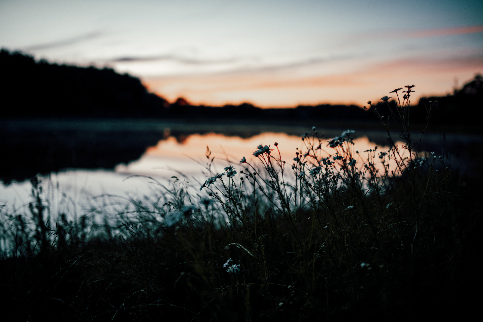 Sunset on the eve of the shortest night of the year - My, Bonfire, Sunset, Nature, Hike, The photo, Leisure, Tea, Backpack, Longpost