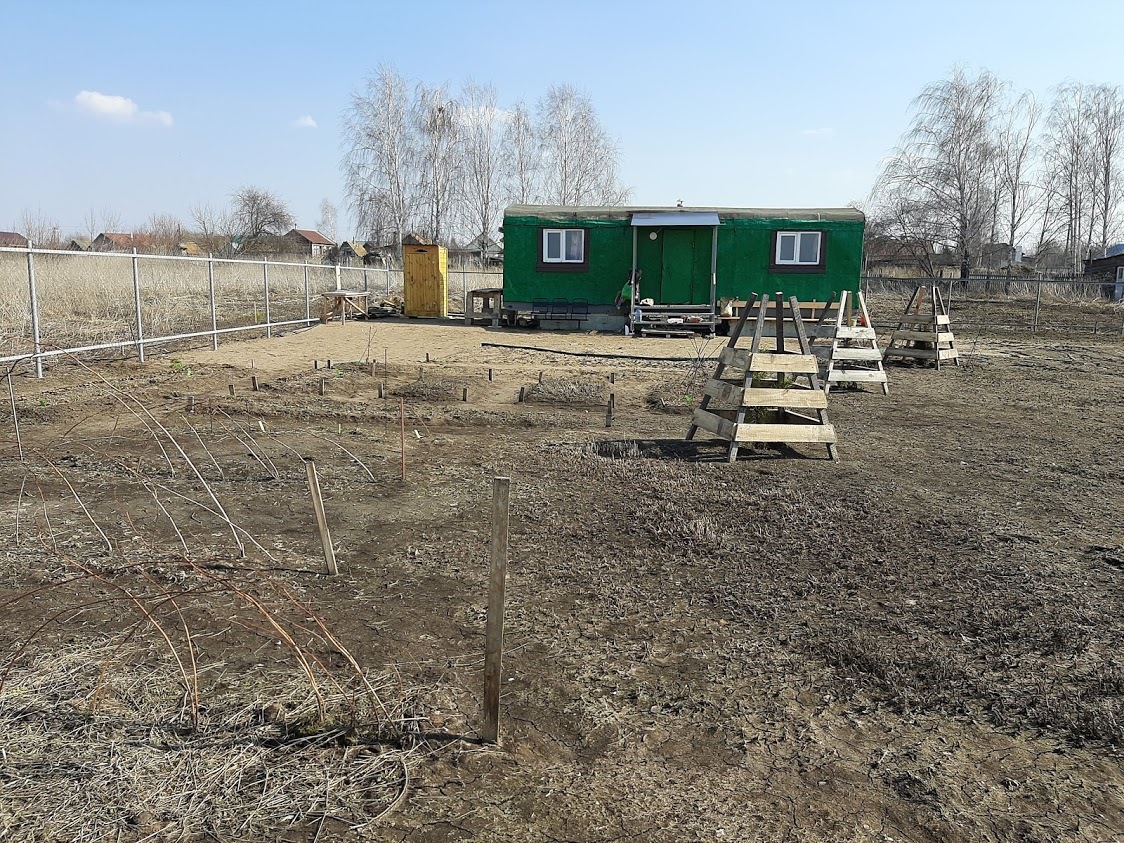 Development of a land plot from scratch. First results. Part 3 - My, Dacha, Growing, Flowers, Longpost