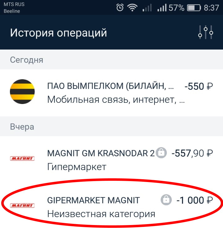 Сила Пикабу - нужна помощь (это мошенничество? и что делать?) - Моё, Мошенничество, Магнит, Длиннопост