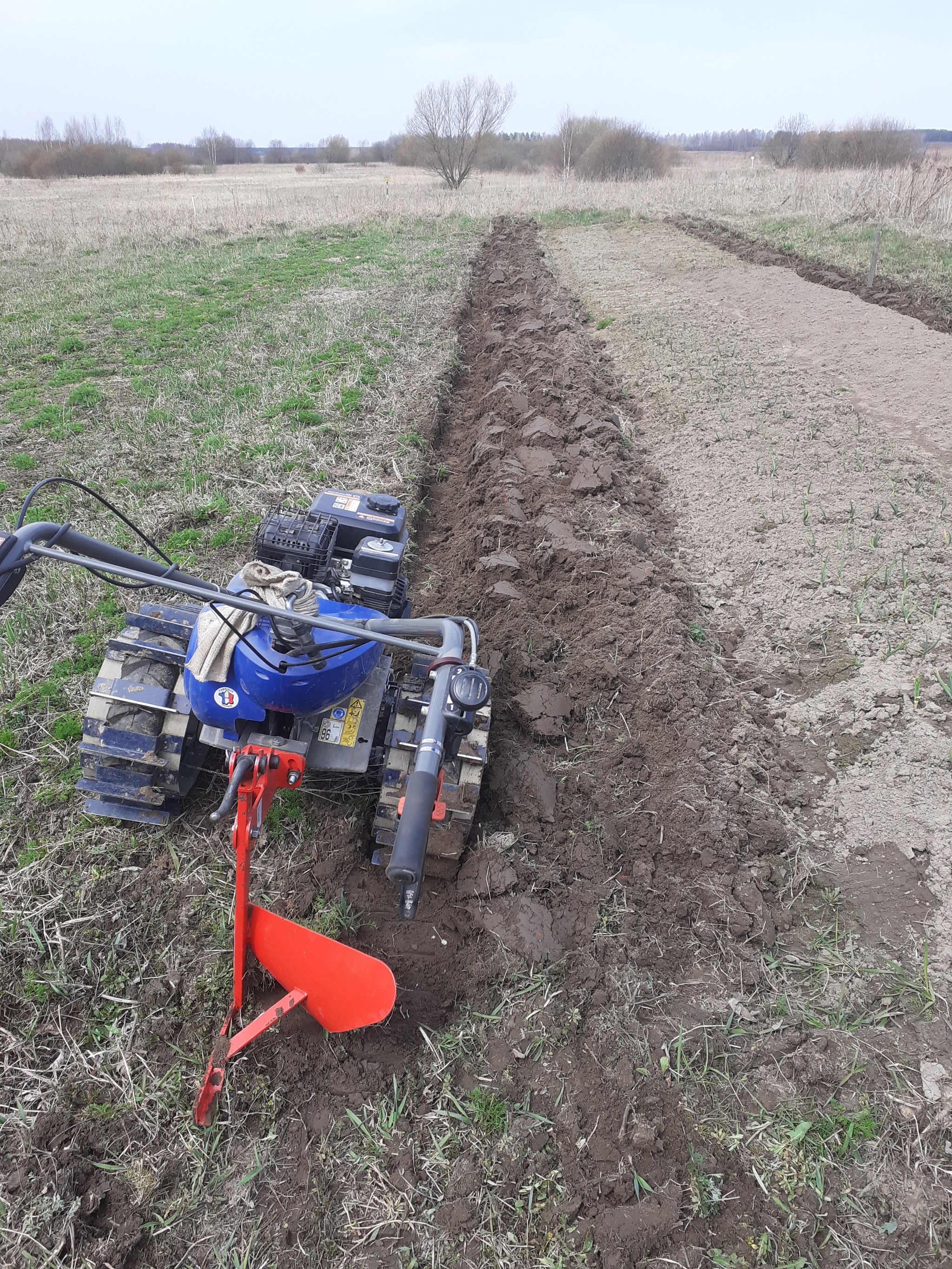 Walk-behind tractor with caterpillar plow - My, Garden, Dacha, Garden, Longpost