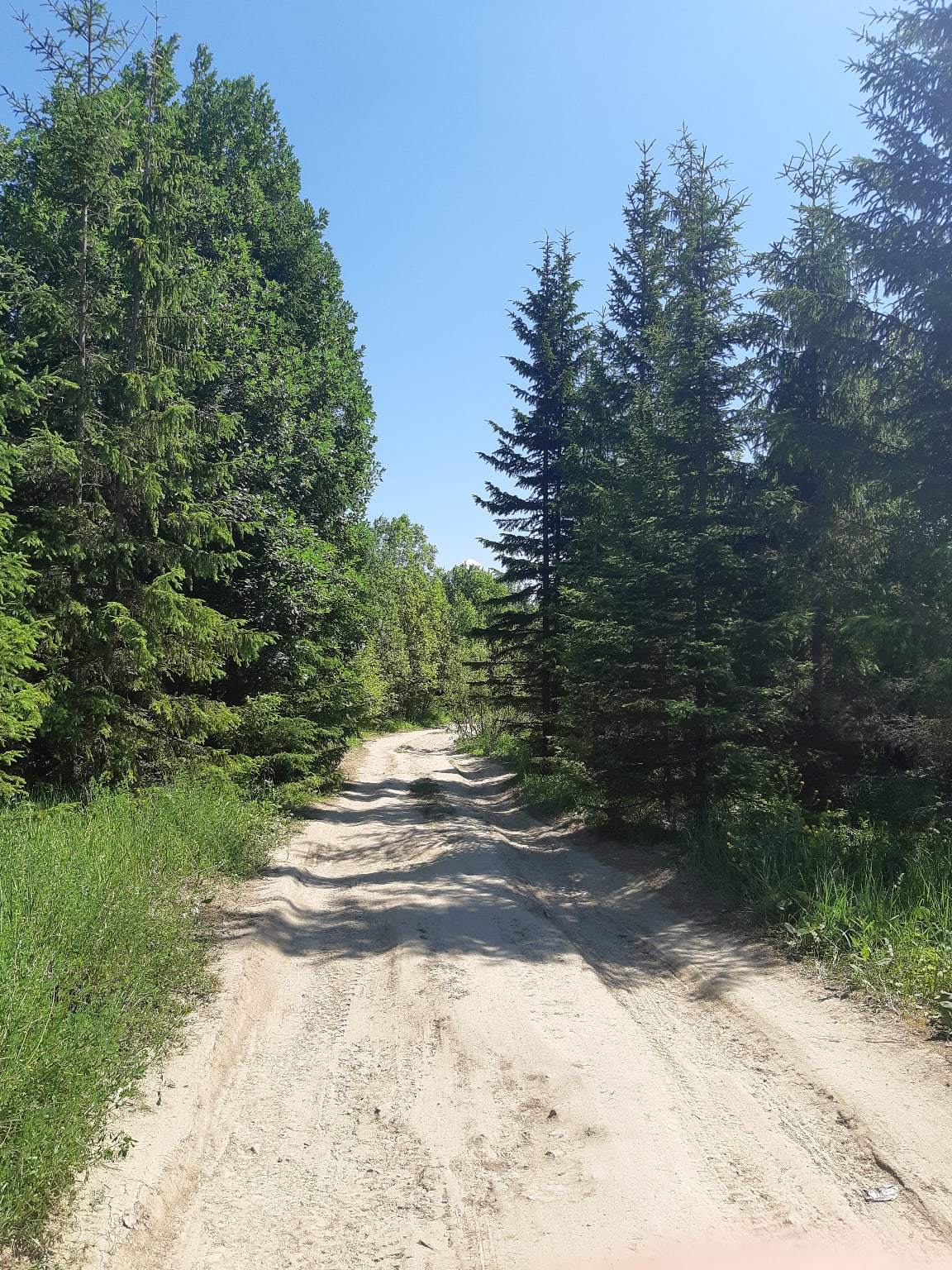 Елизаветинский карьер в гатчинском районе фото