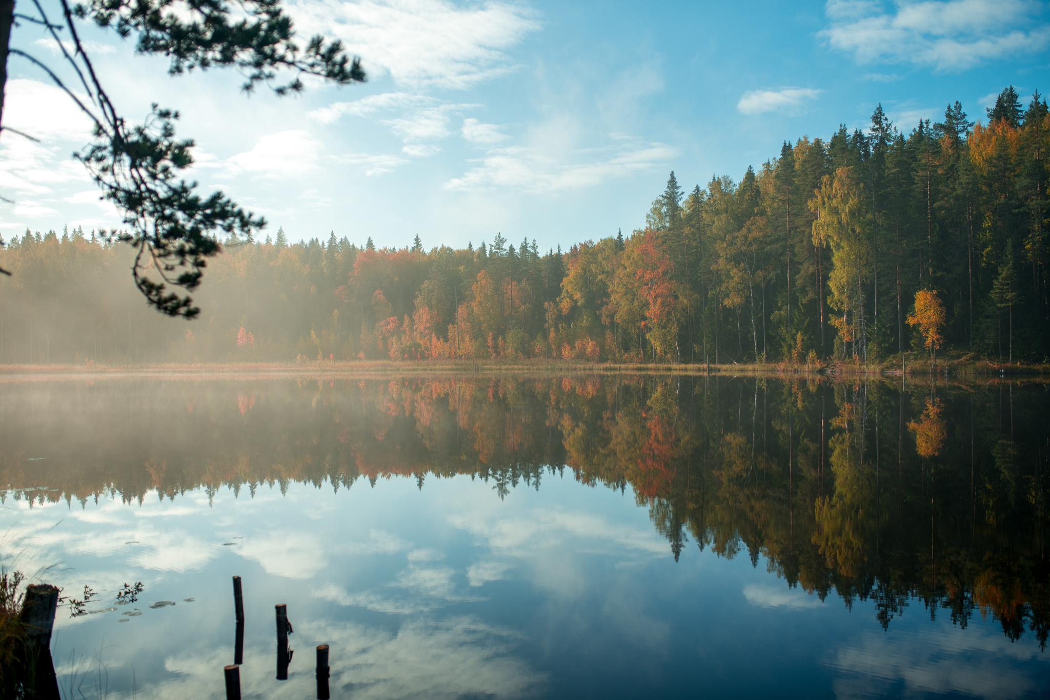 The beauty of nature of the Leningrad region - My, Nikon, Nature, The photo, Landscape, Russia, Longpost, Leningrad region