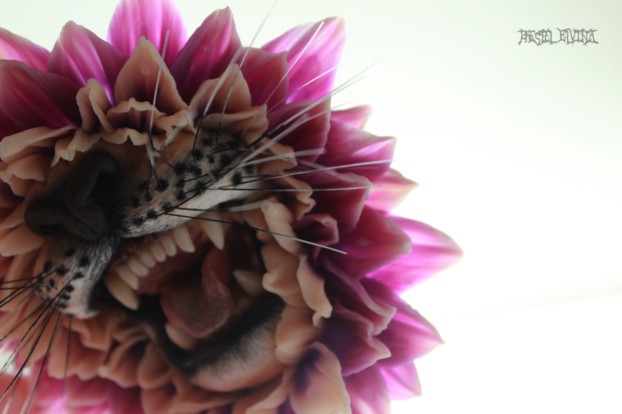 Leorgin :D (Leopard in a dahlia made of polymer clay) - My, Polymer clay, Surrealism, Symbiosis, Floristics, Kripota, Leopard, Needlework without process, Longpost