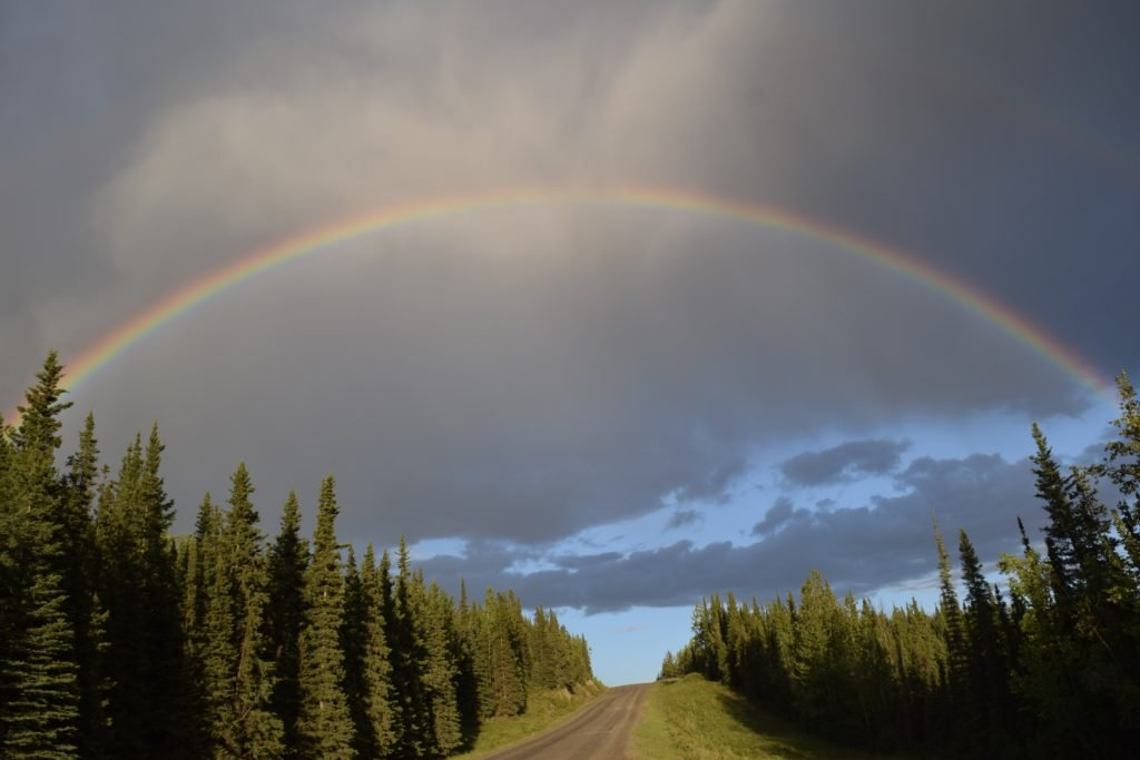 Rainbow | Пикабу