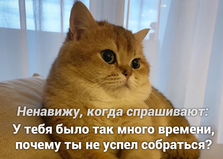 Бесит | Пикабу