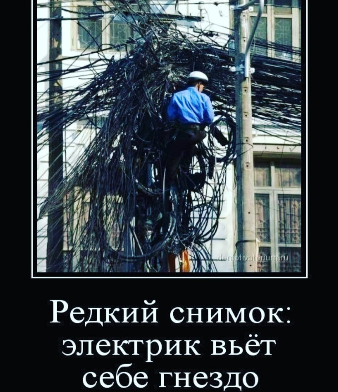 Not an easy job - Electricity, Power lines, Электрик, Installation, Nest, Work