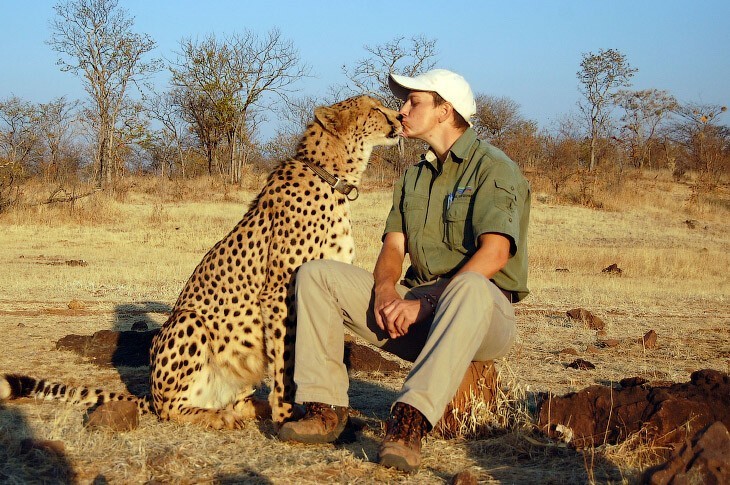 This is probably love) - Cheetah, Love, Africa, Milota, The photo, Cat family, Small cats, Animals