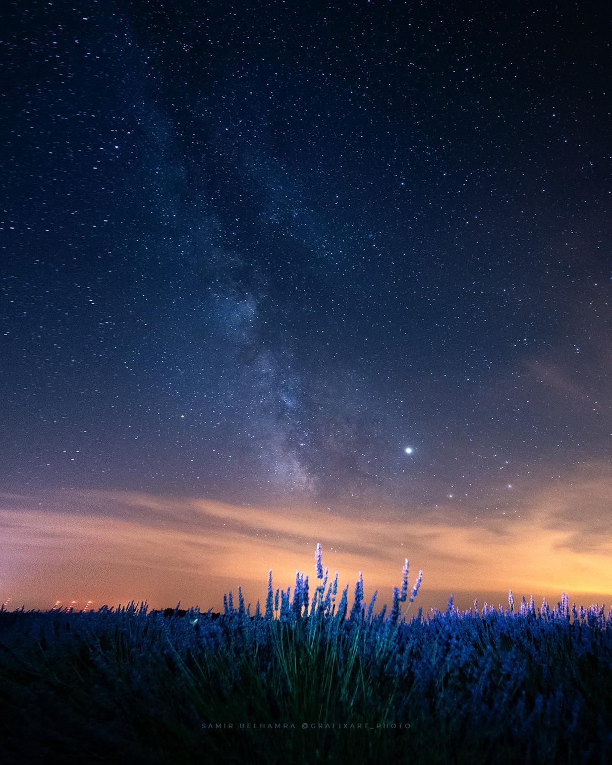 Milky way over lavender field - Milky Way, Lavender, Nature