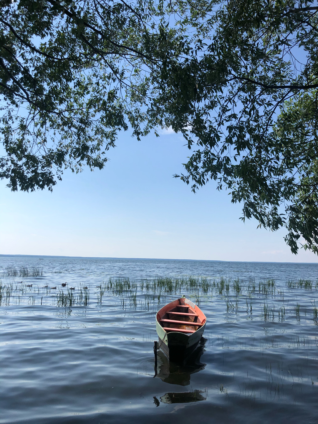 Плещеево озеро - Моё, Озеро, Переславль-Залесский, Лето, Отдых, Отдых на природе, Длиннопост, Фотография