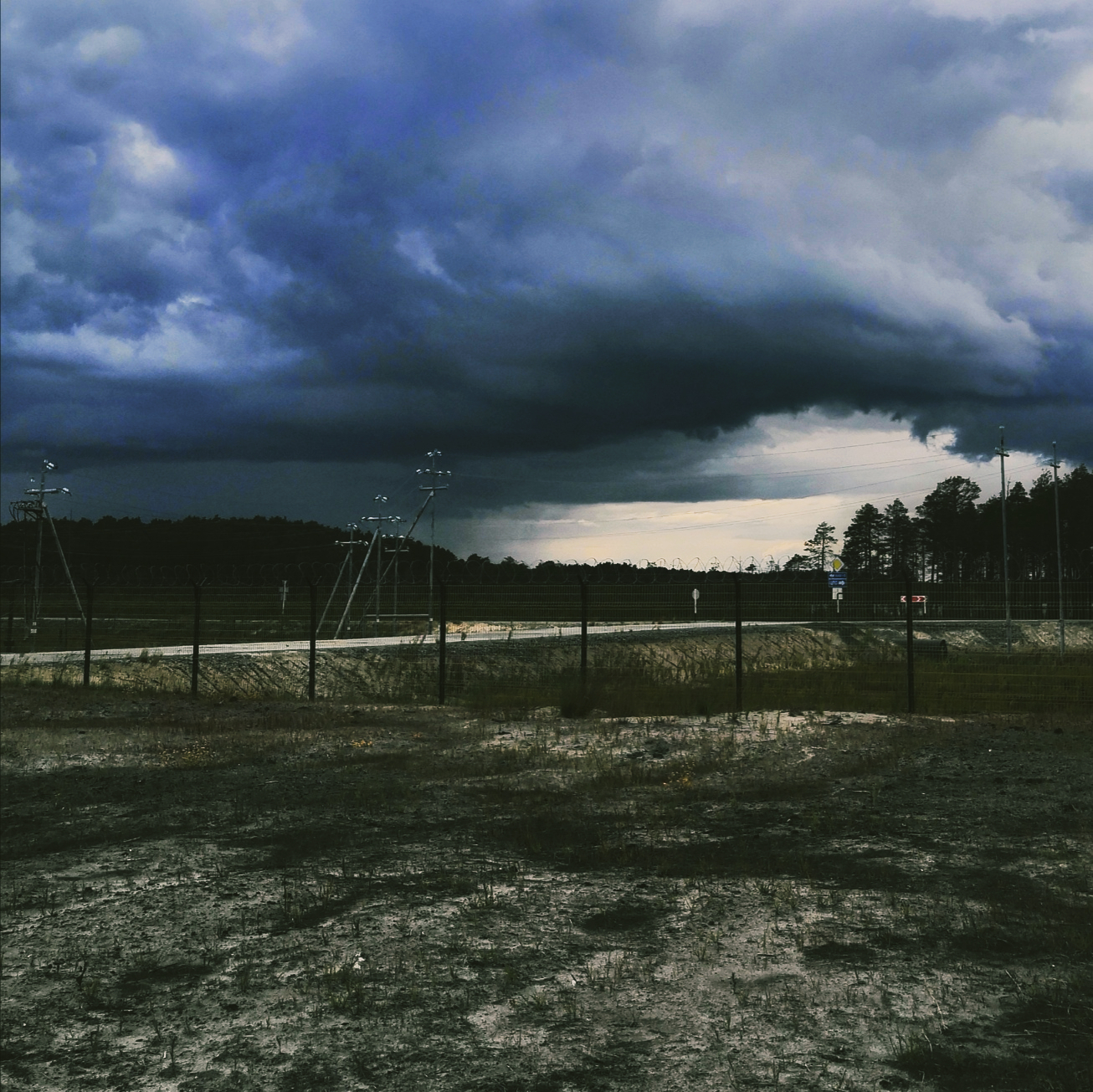 Sometimes I'm my mother's photographer - 2 - My, Photo on sneaker, The photo, Forest, Sand, Swamp, Longpost