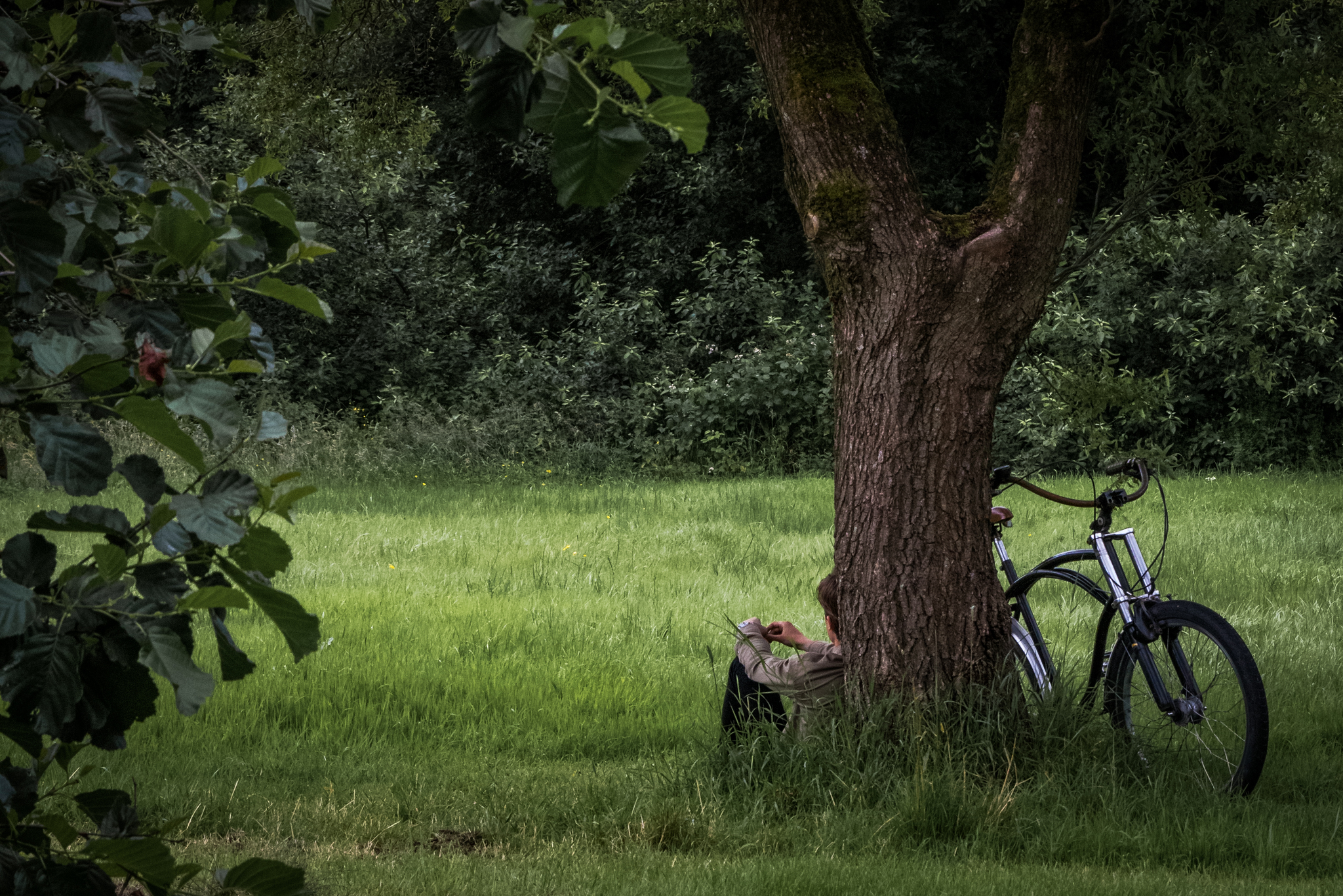 Cork, Ireland - My, The photo, Ireland, Beginning photographer, Town, Longpost