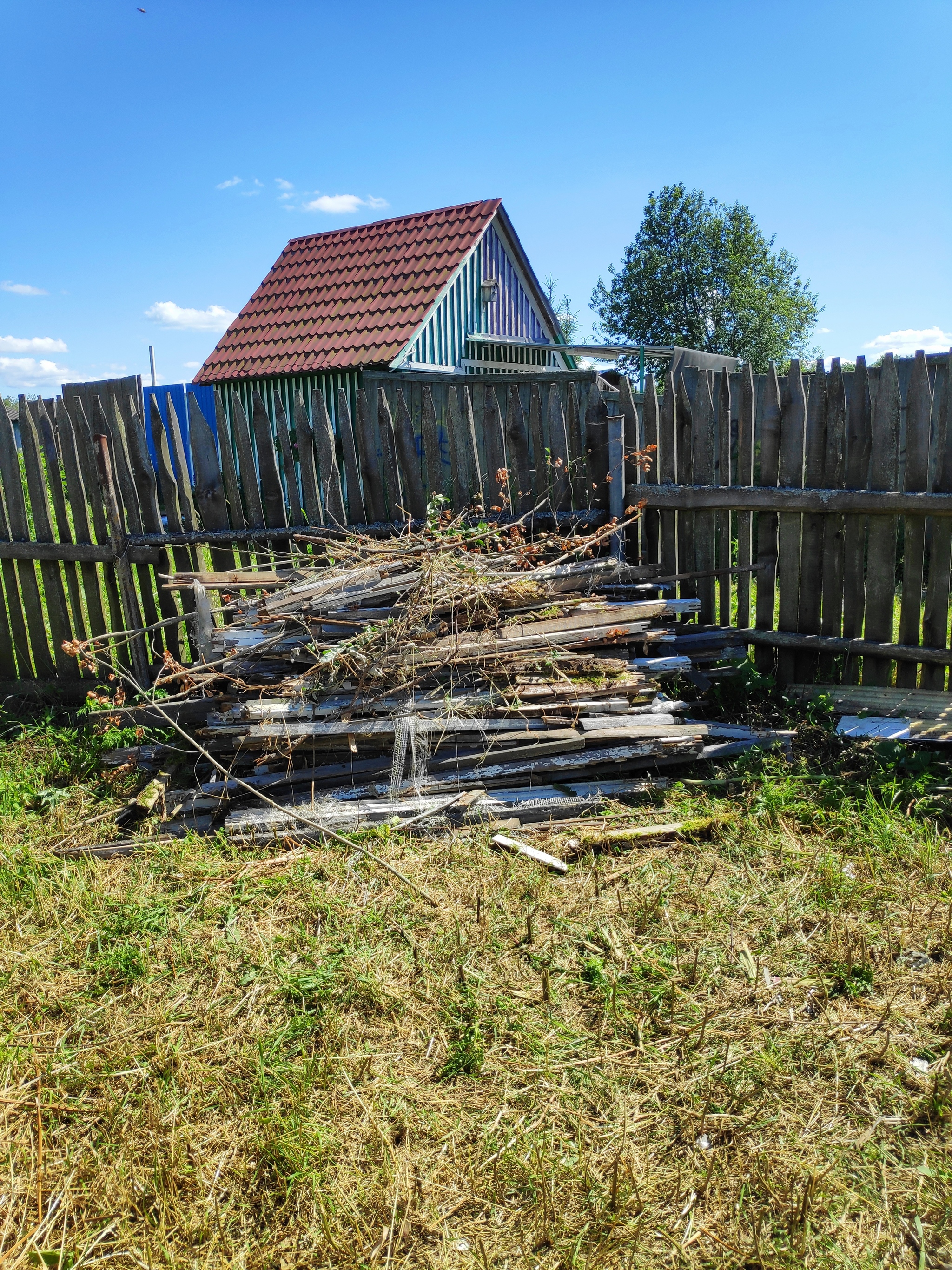 Vegetable garden/dacha “My lazy dacha” Part 5 “Photos, boards, two pins” - My, Dacha, Garden, Mat, Longpost