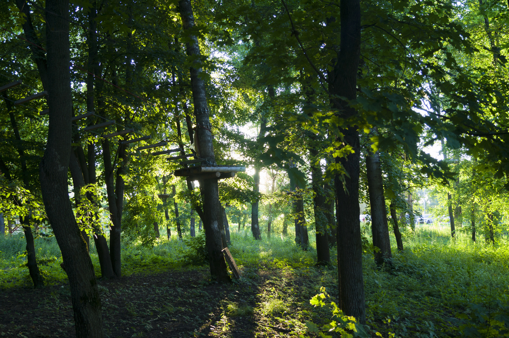 Tambov evening or meet a newcomer - My, Tambov, Evening, Sony, 18-55 kit, I want criticism, Longpost