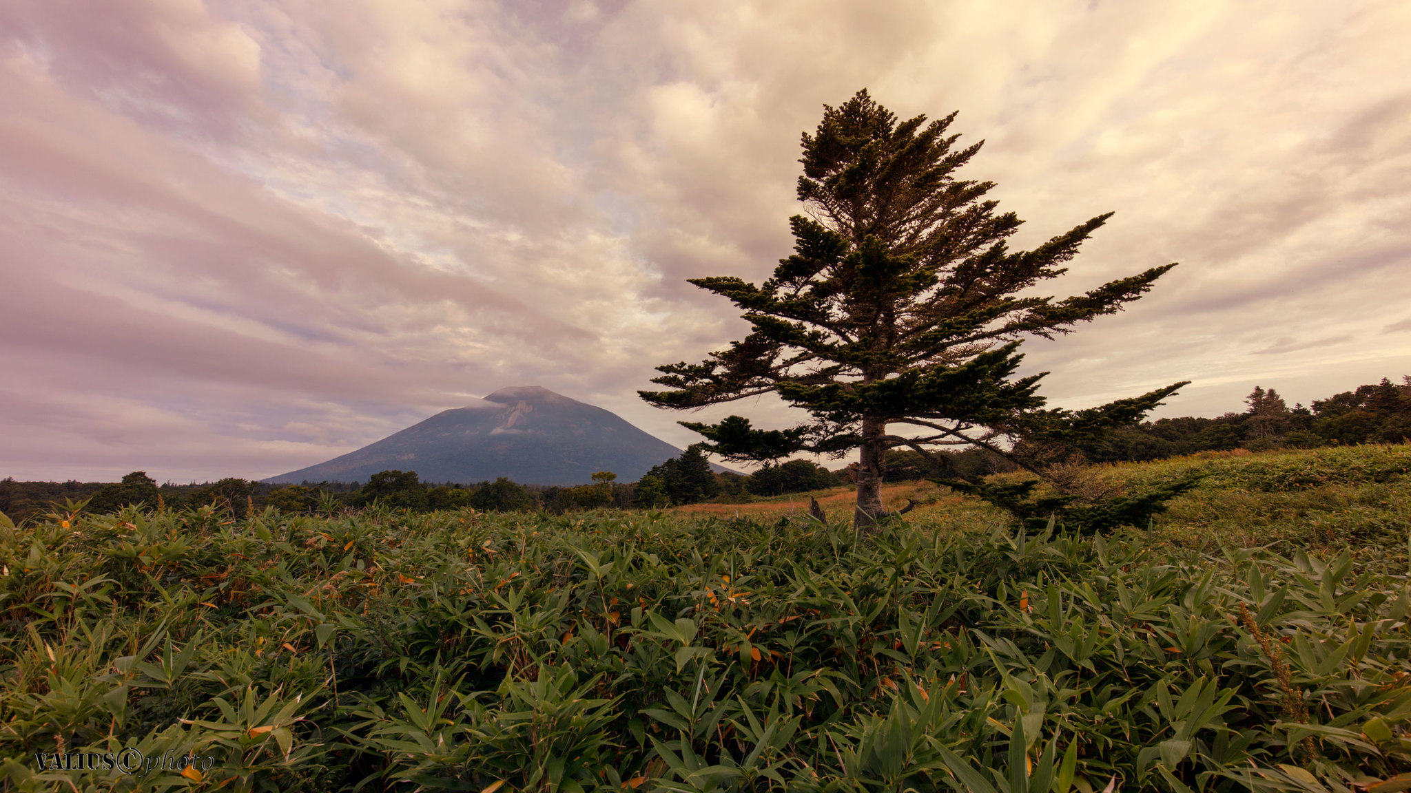 A little bit of Iturup - My, Iturup, Travels, The photo, Landscape, Nature, Longpost, Volcano Atsonupuri, Baranskoye Volcano