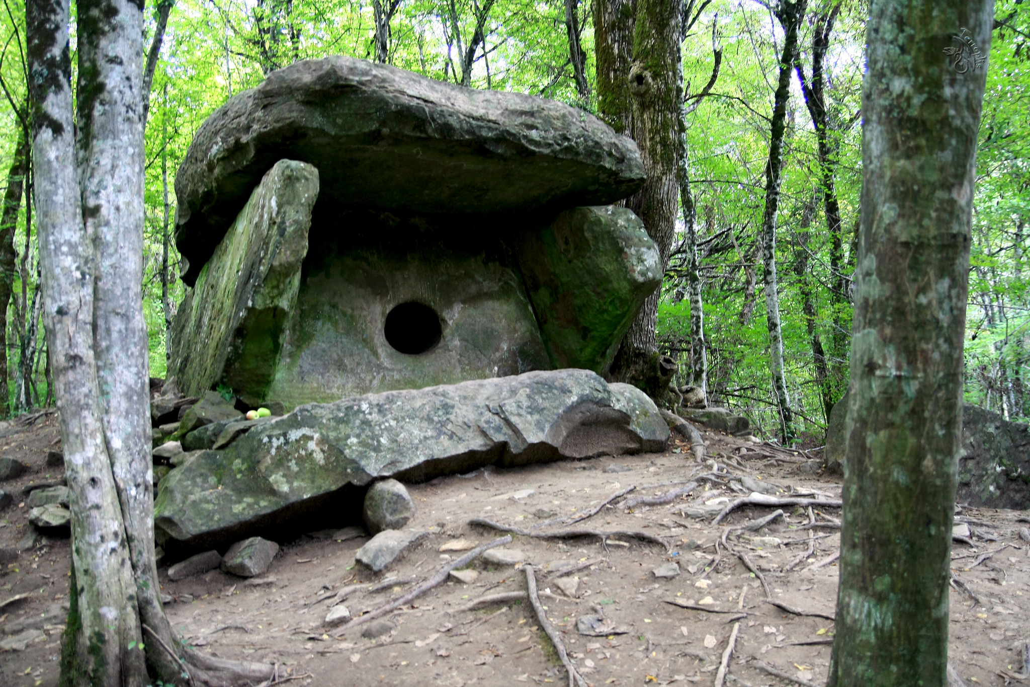 First lap. Conversations with stones - My, Forest, The mountains, Caucasus, Waterfall, Dolmens, Hike, Travels, First post, Longpost