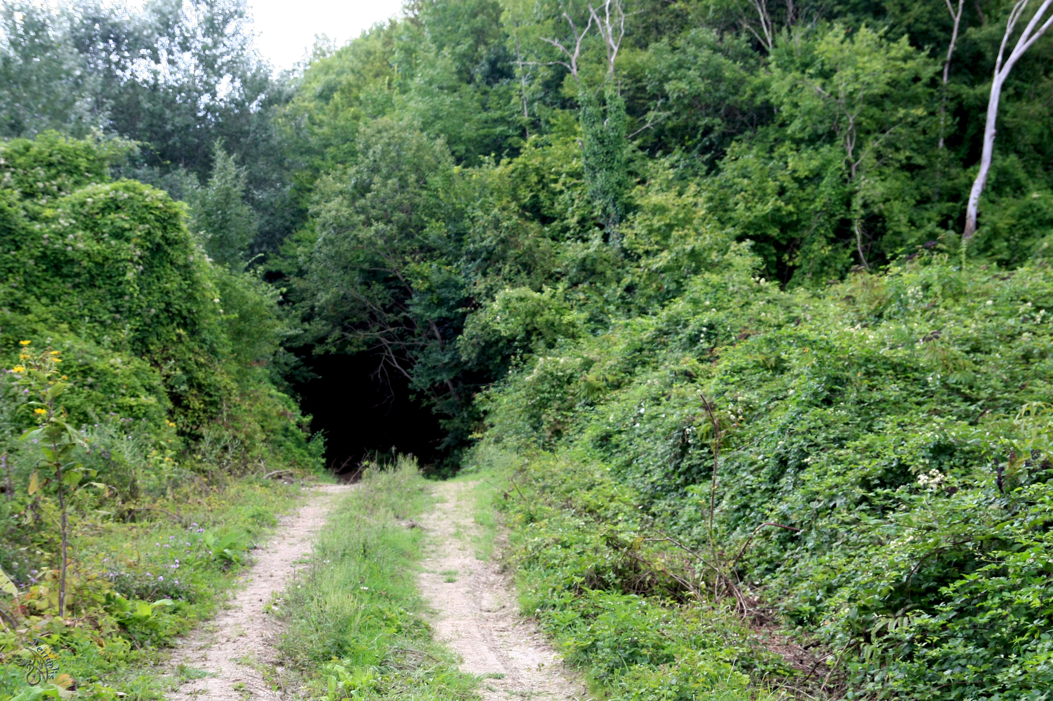 First lap. Conversations with stones - My, Forest, The mountains, Caucasus, Waterfall, Dolmens, Hike, Travels, First post, Longpost