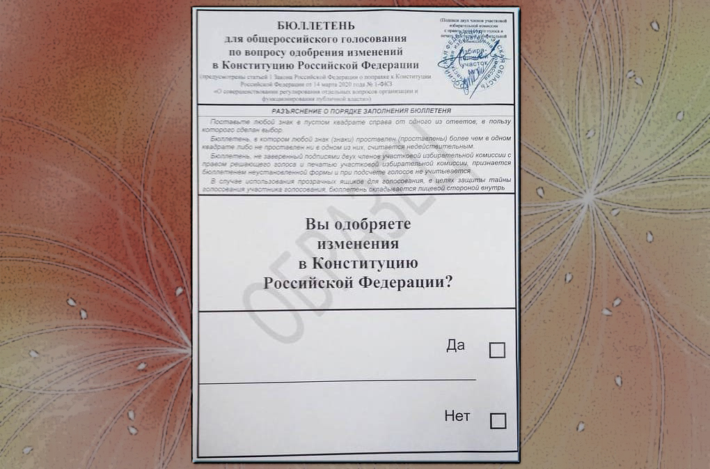 Голосование и разочарование - Моё, Конституция, Поправки, Голосование, Разочарование, Политика, Бюллетень