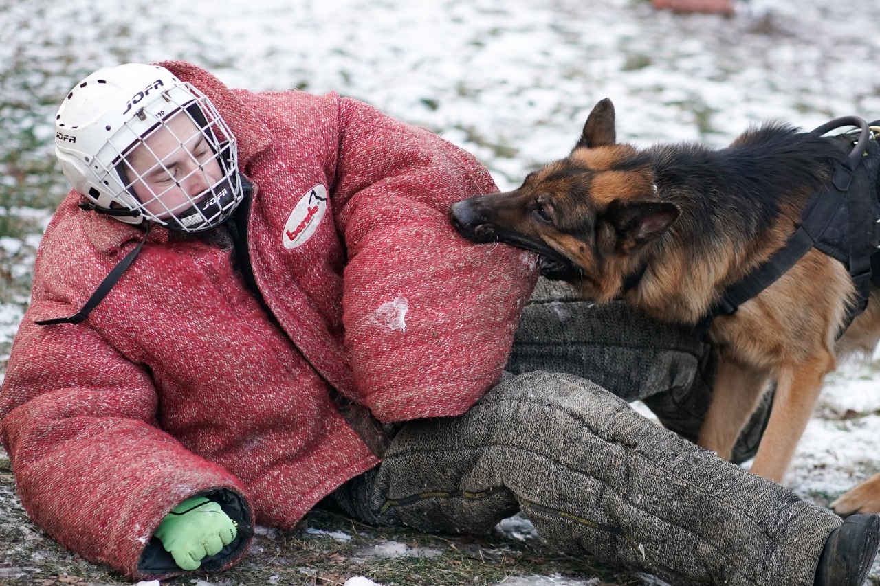 What does a therapy dog ??do on his days off? - My, Dog, ZKS, Security, Hospice, Happiness, Training, Video, Longpost