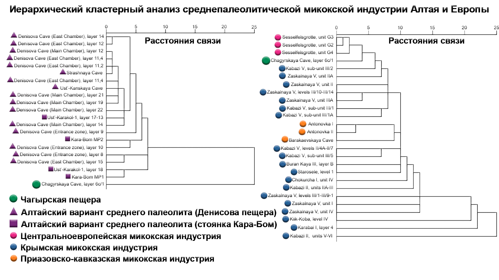 Siberian Neanderthals were from different waves of migrations (DNA from the Chagyrskaya cave of Altai) - My, The science, Archeology, Paleogenetics, Neanderthal, DNA, Denisovsky Man, Population genetics, Video, GIF, Longpost