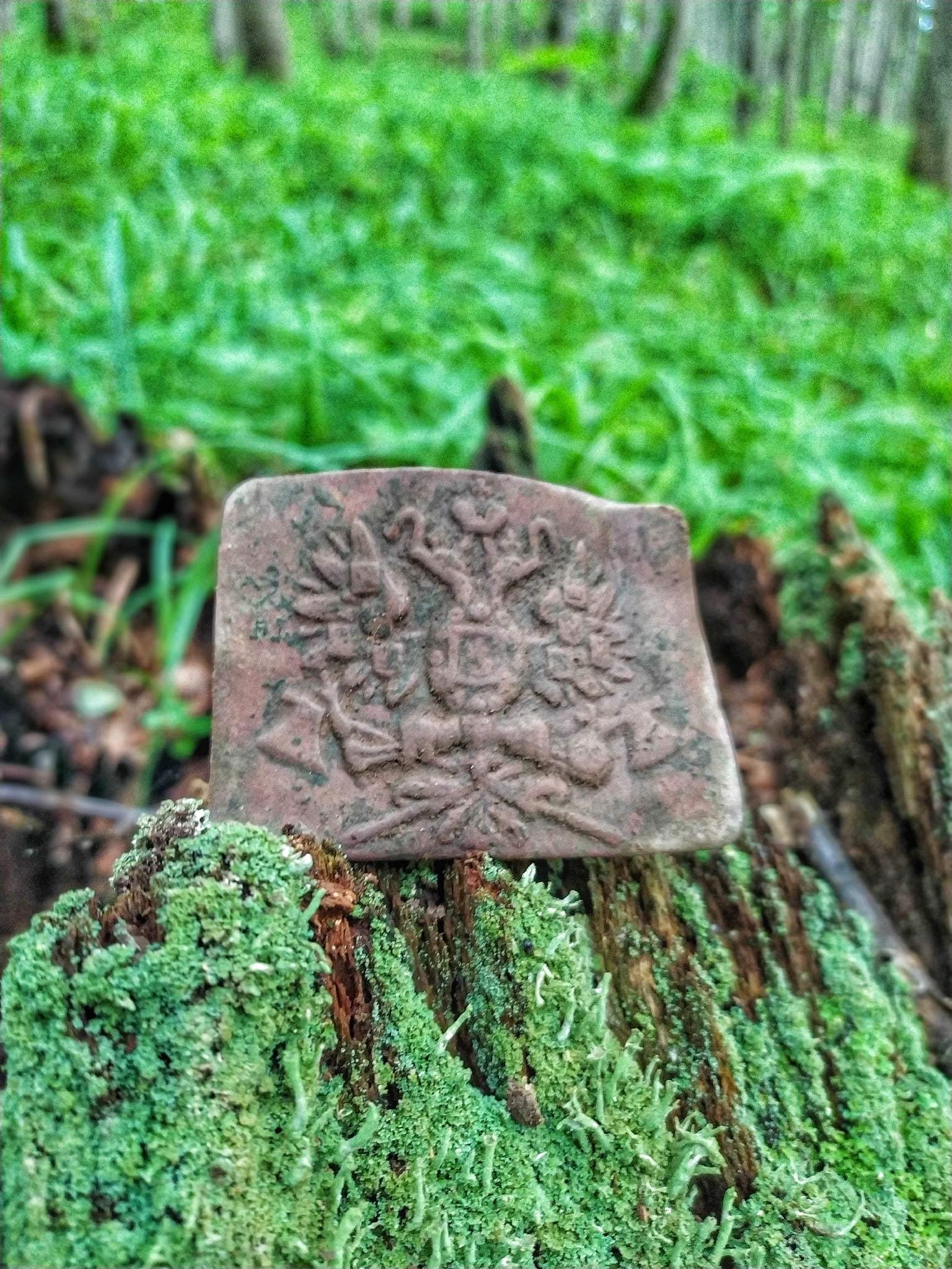 Finds from an old ravine! Searching for gold with a metal detector - My, Search, Metal detector, Hobby, Travels, Treasure hunt, Numismatics, Find, Video, Longpost