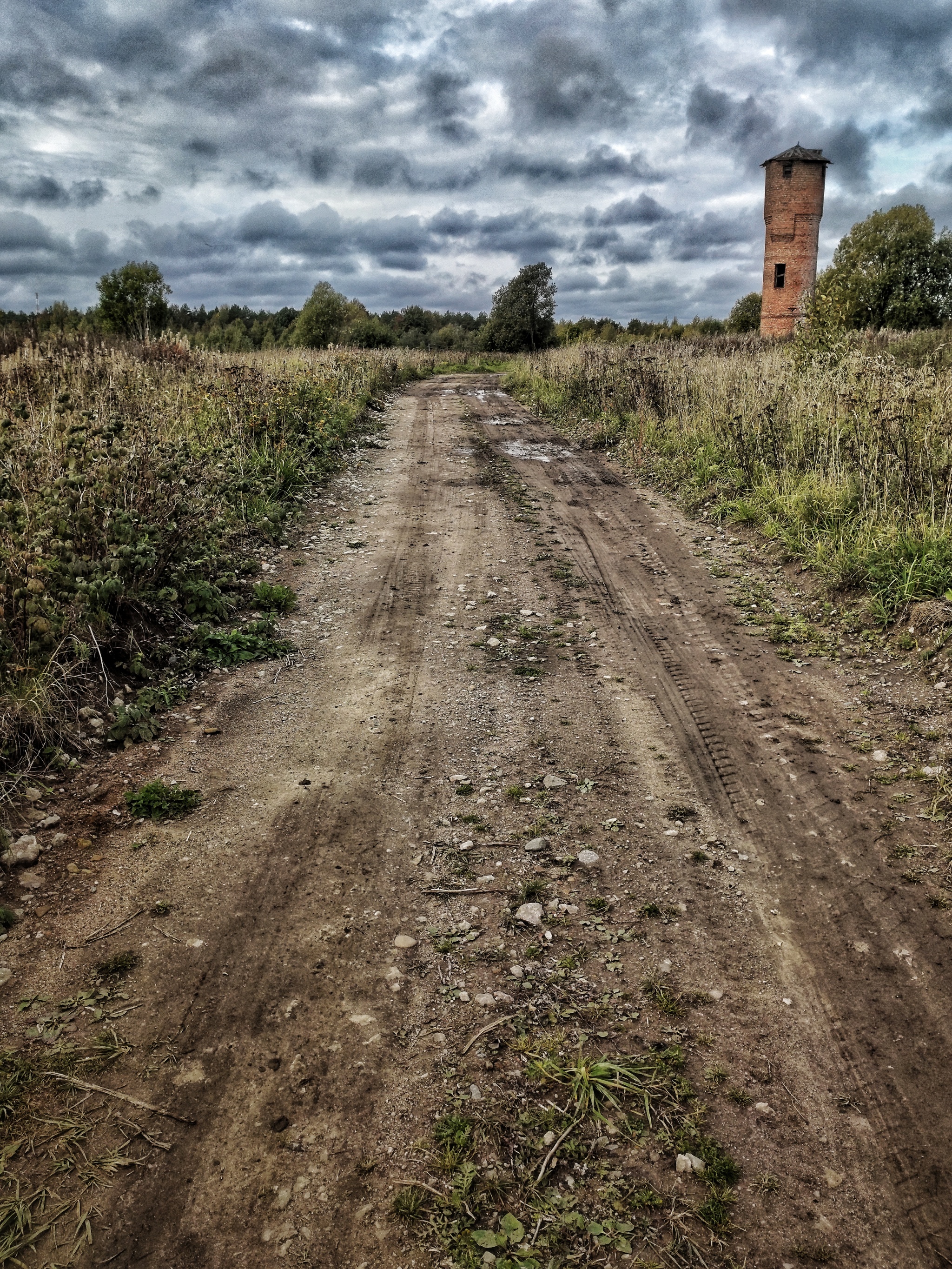 Point of view - My, Photo on sneaker, Nature, Work, Longpost, Thoughts