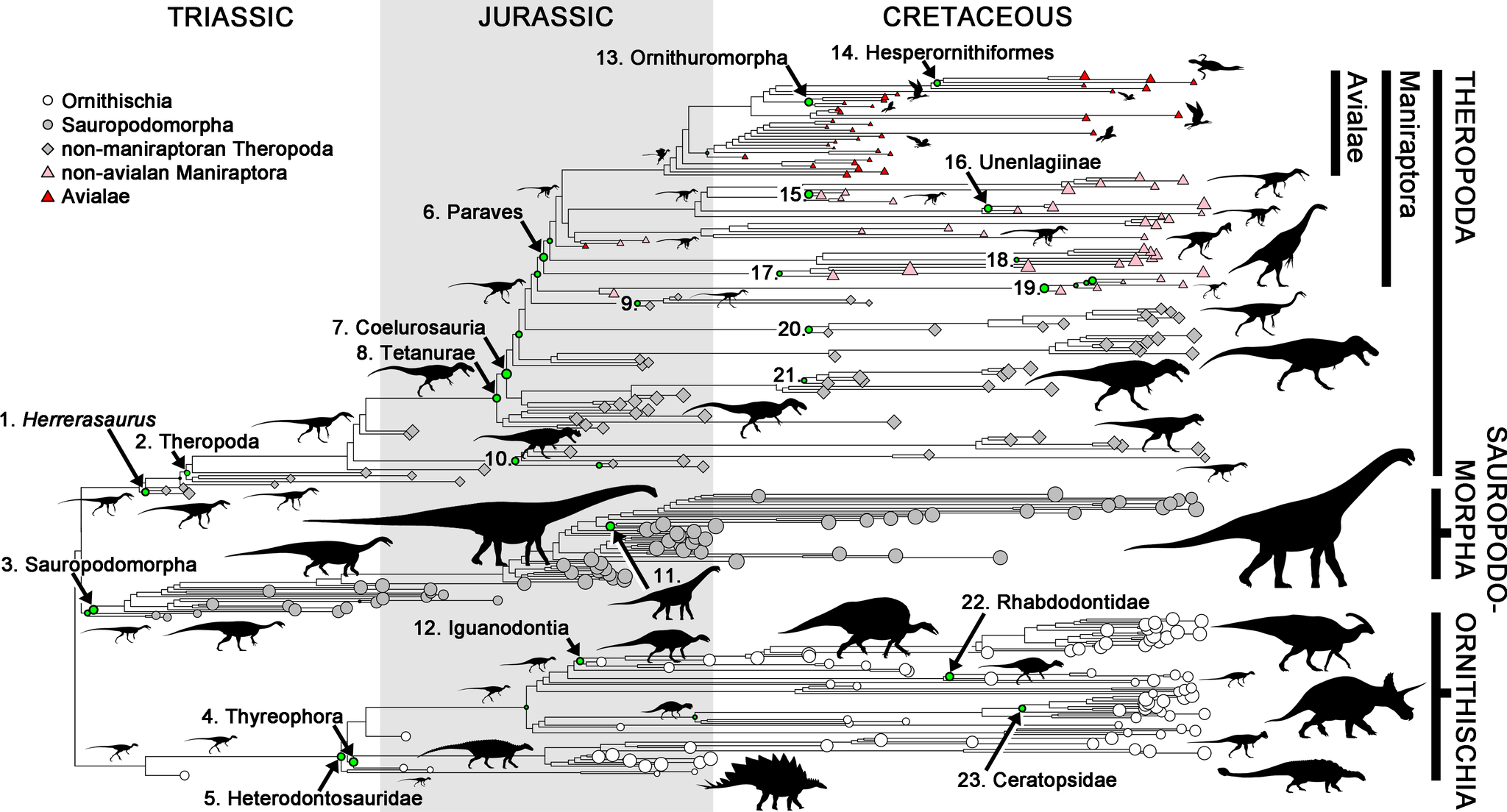 How many dinosaurs were there? - My, Dinosaurs, Paleontology, Statistics, Evolution, The science, Longpost