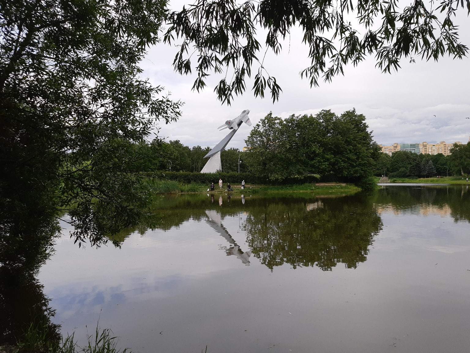 Aviator Park. July 7, 2020. St. Petersburg - My, Aviators' Park, The park, Tree, Pond, Saint Petersburg, The photo, Video, Longpost