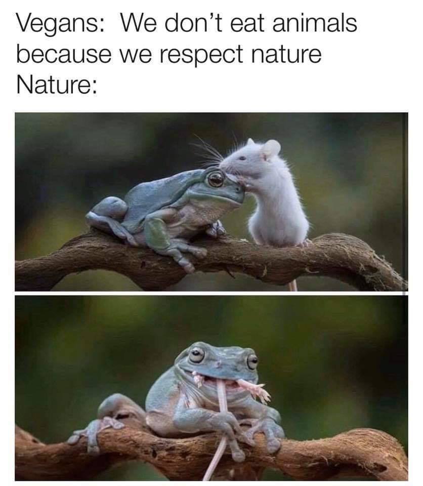 Vegans who respect nature - Vegan, Nature, Frogs, Mouse, Food