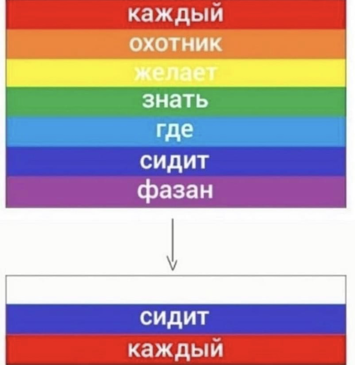 Let's sit down and sit down - My, Ekaterina Lakhova, Gays, Ban