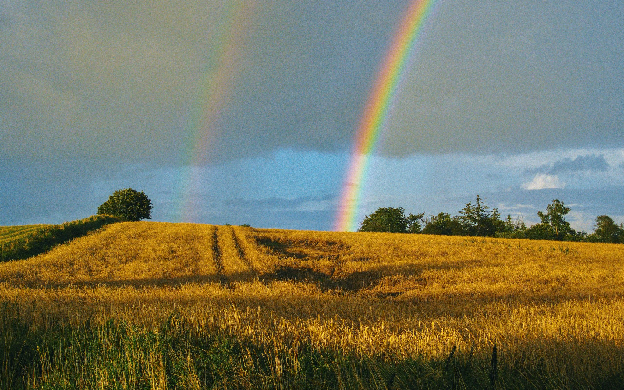 Rainbow - Rainbow, The photo