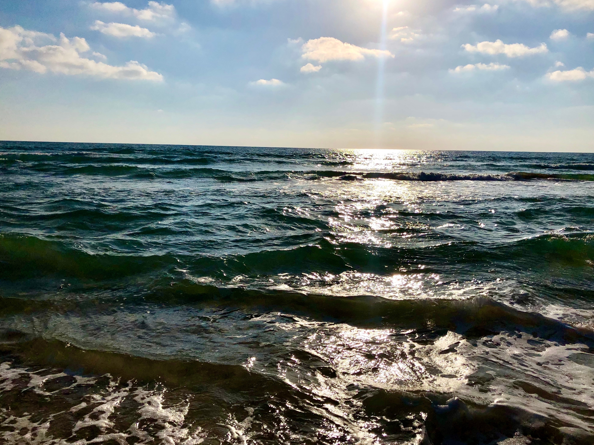 Mediterranean voyage on horseback - My, Sea, Horses